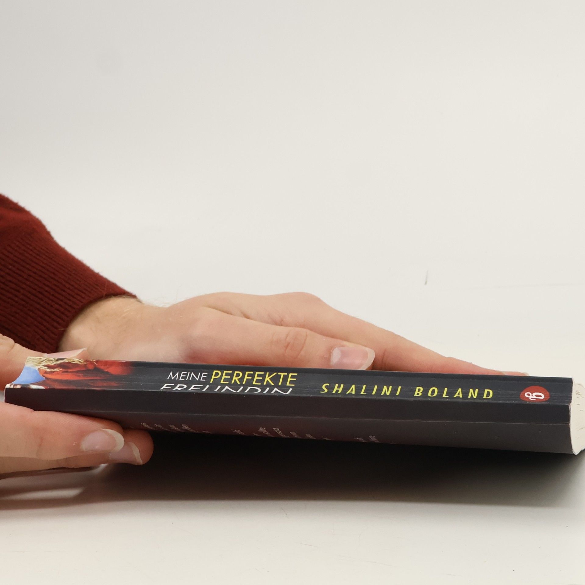 Shalini Boland Meine Perfekte Freundin