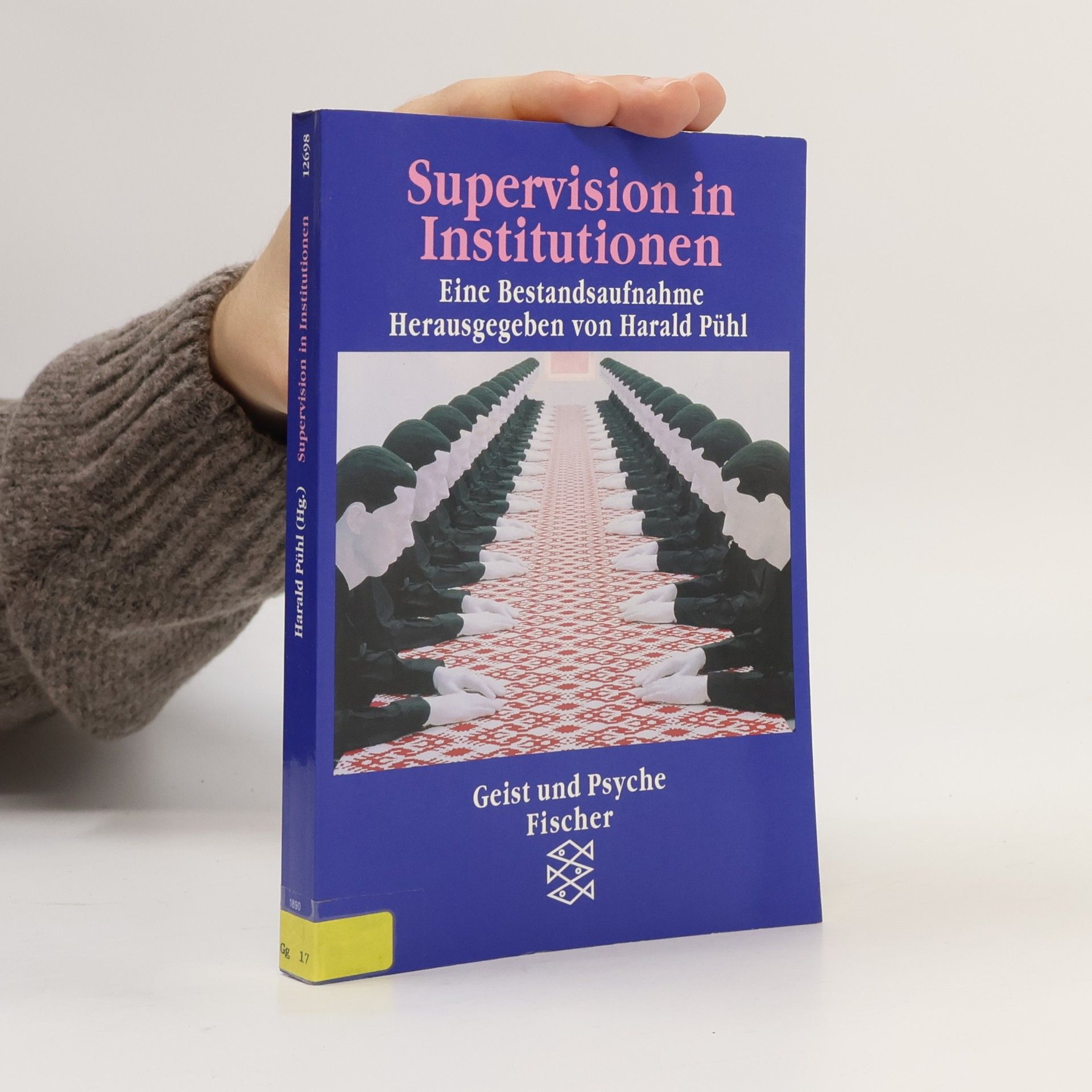 Harald Pühl Supervision in Institutionen