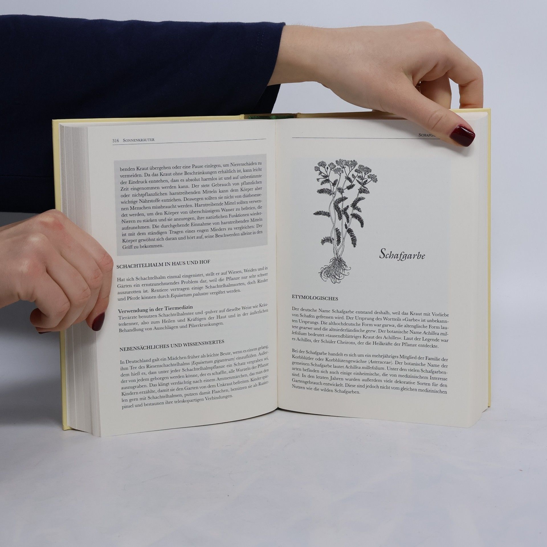 Nancy Arrowsmith Das Buch der heilenden Kräuter. Herbologie, Heilkraft, Rezepte und Geschichten