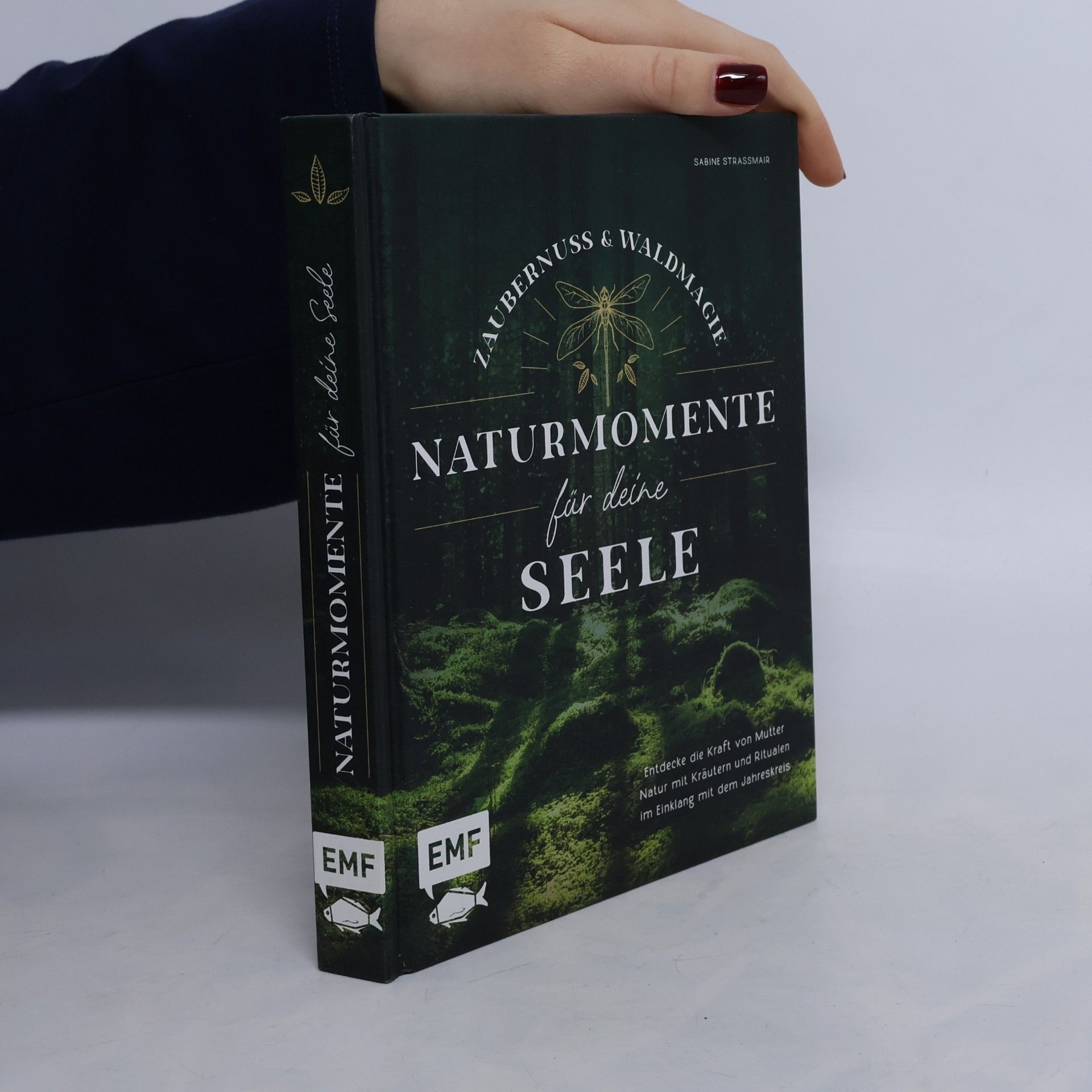 Zaubernuss und Waldmagie – Naturmomente für deine Seele