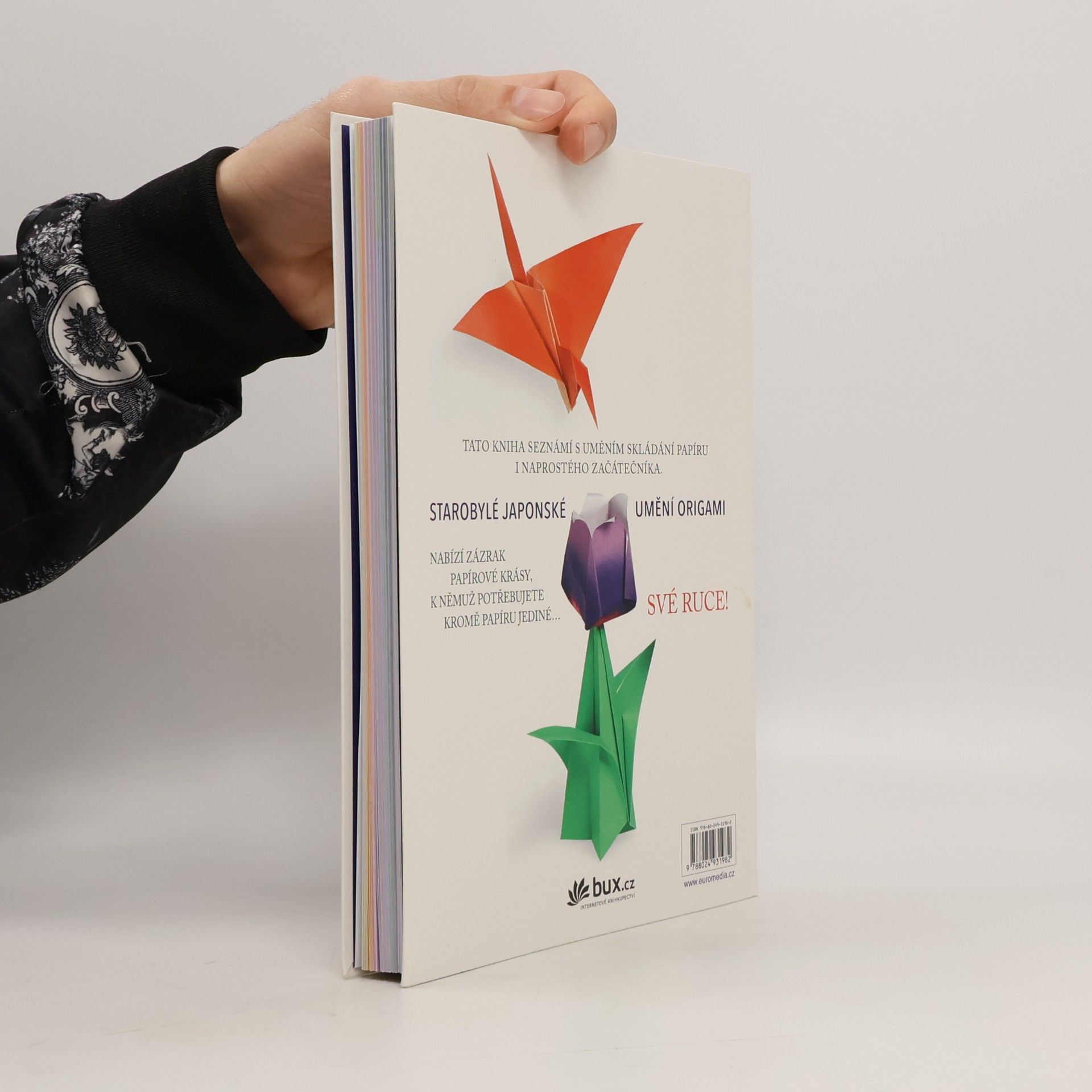 Francesco Decio Učíme se origami (box)