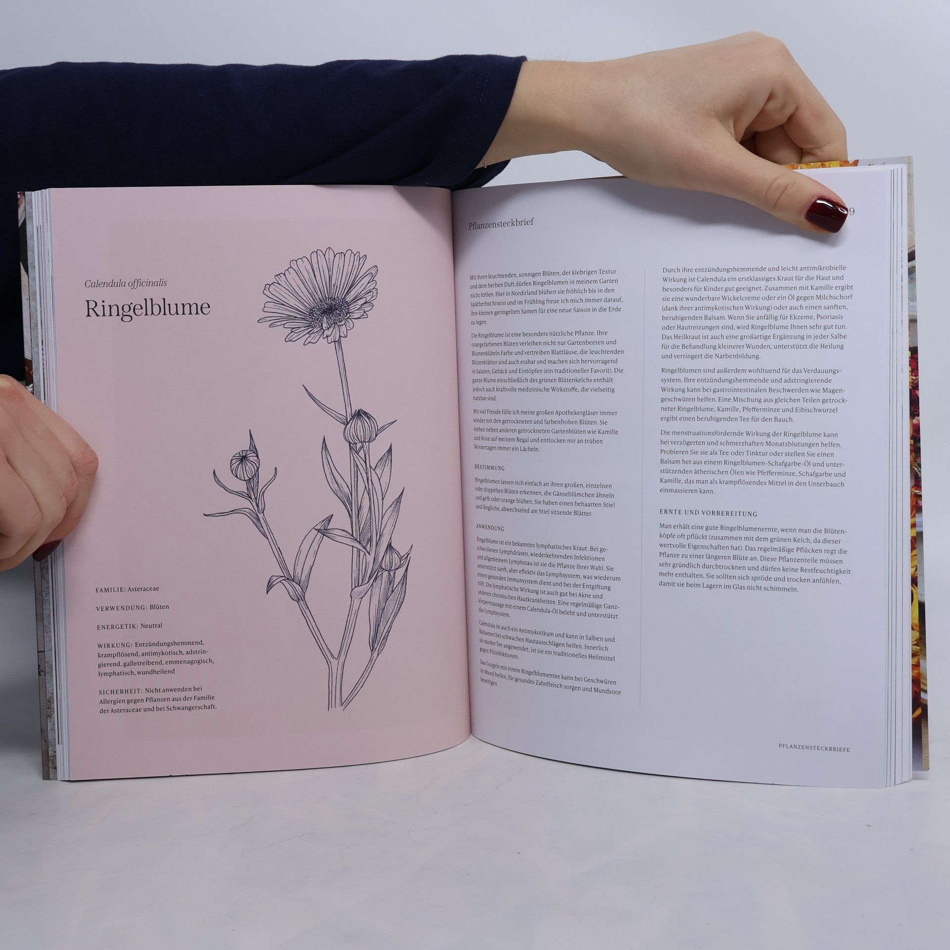 Becky Cole Die Gartenapothekerin