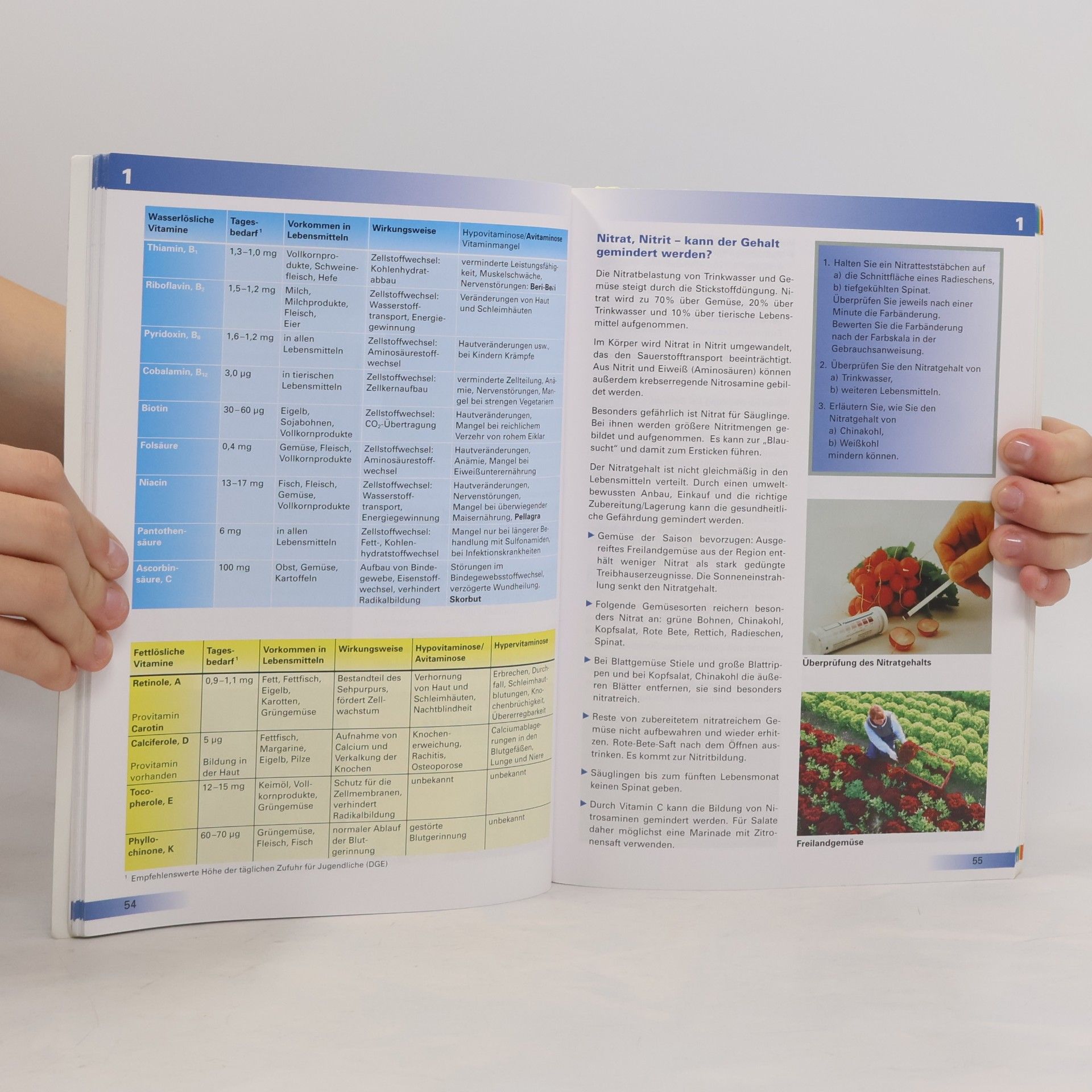 Cornelia A. Schlieper Arbeitsbuch Ernährung für den handlungsorientierten Unterricht