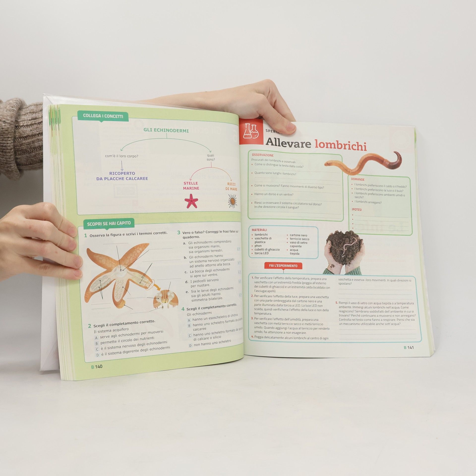 Ilaria Lovato Scienze in Agenda
