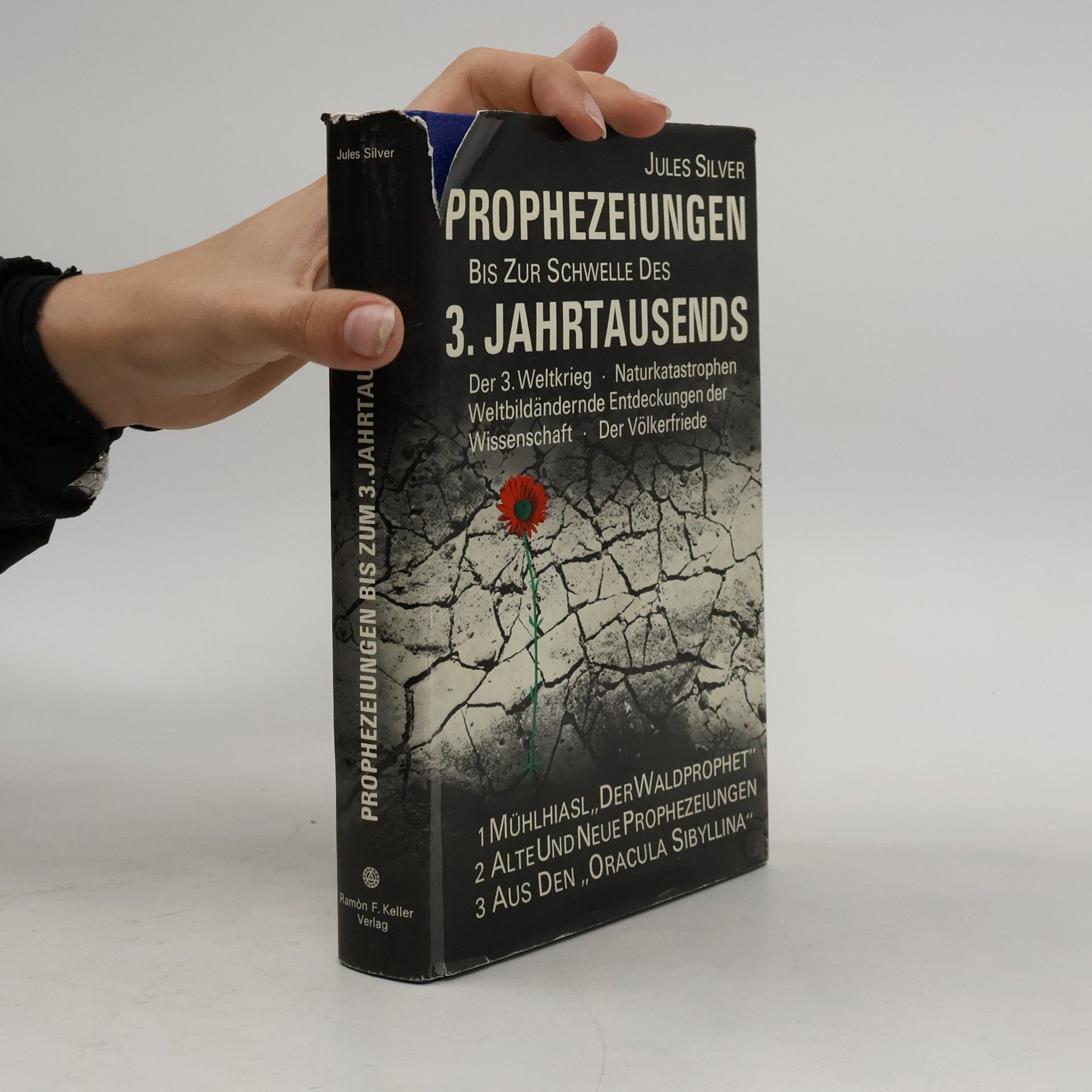 Hanns Kurth Prophezeiungen bis zur Schwelle des 3. Jahrtausends