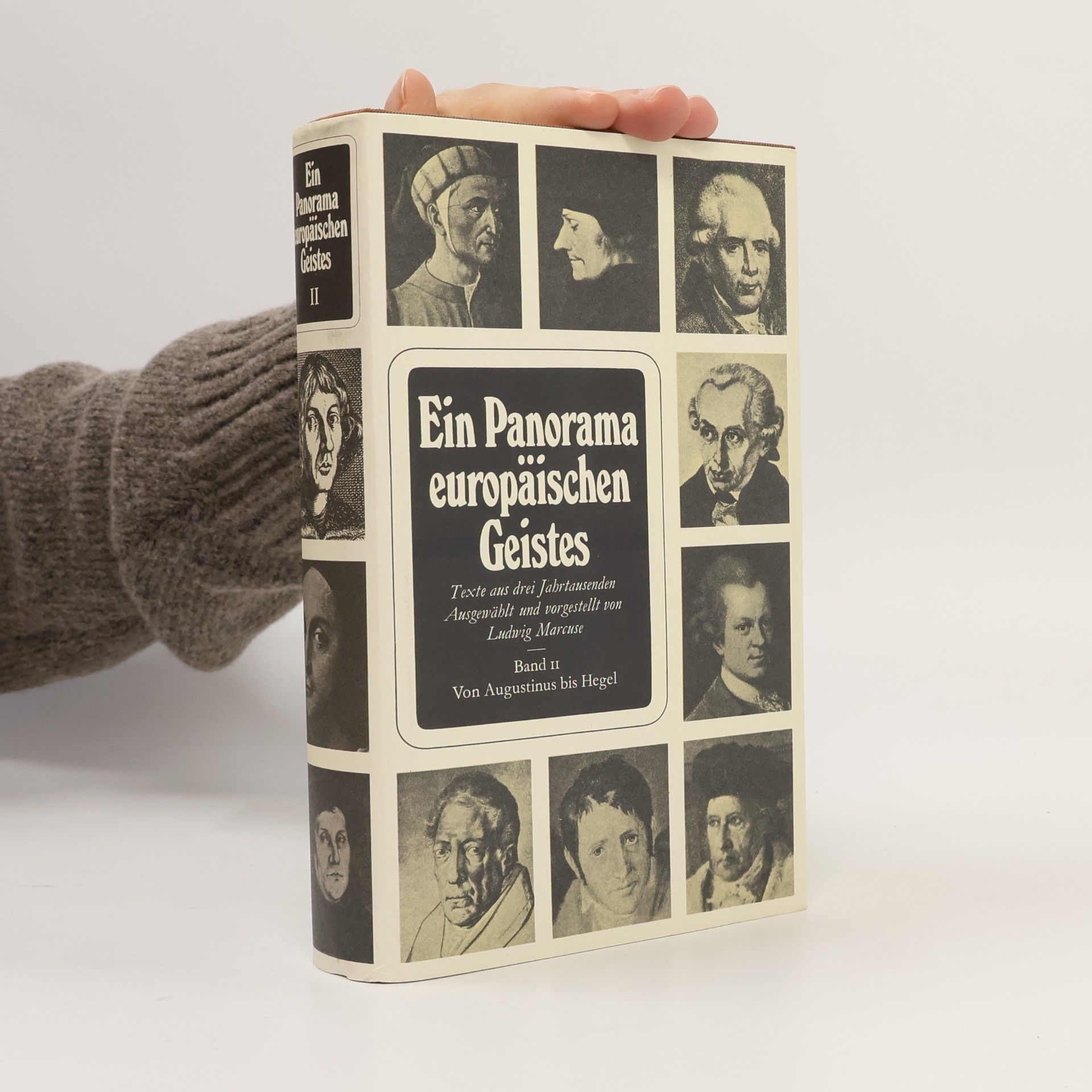 Autores varios Ein Panorama europäischen Geistes II.