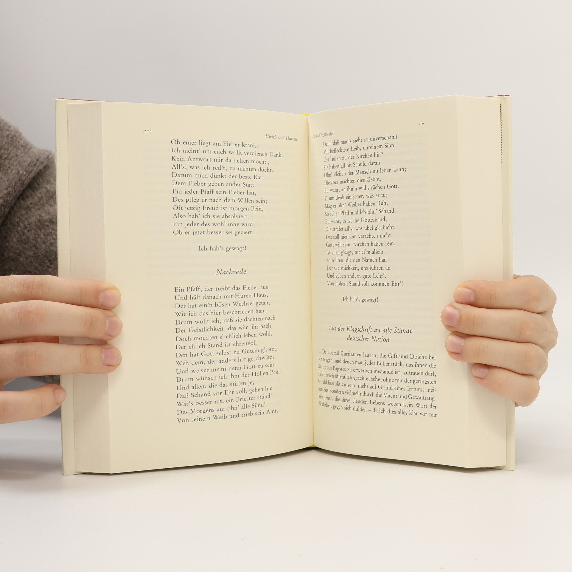 Autores varios Ein Panorama europäischen Geistes II.