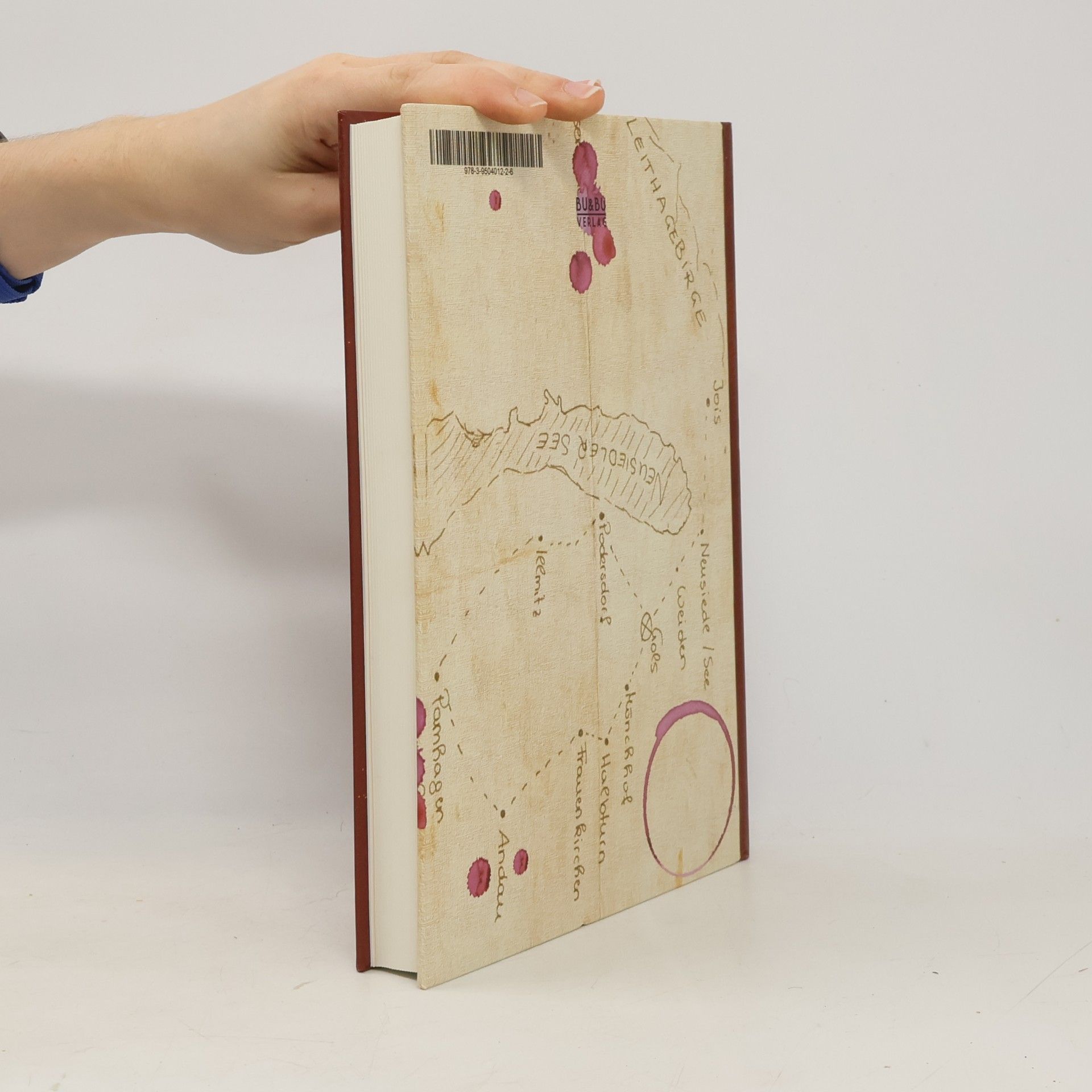 Katharina Graf Der Rebstock
