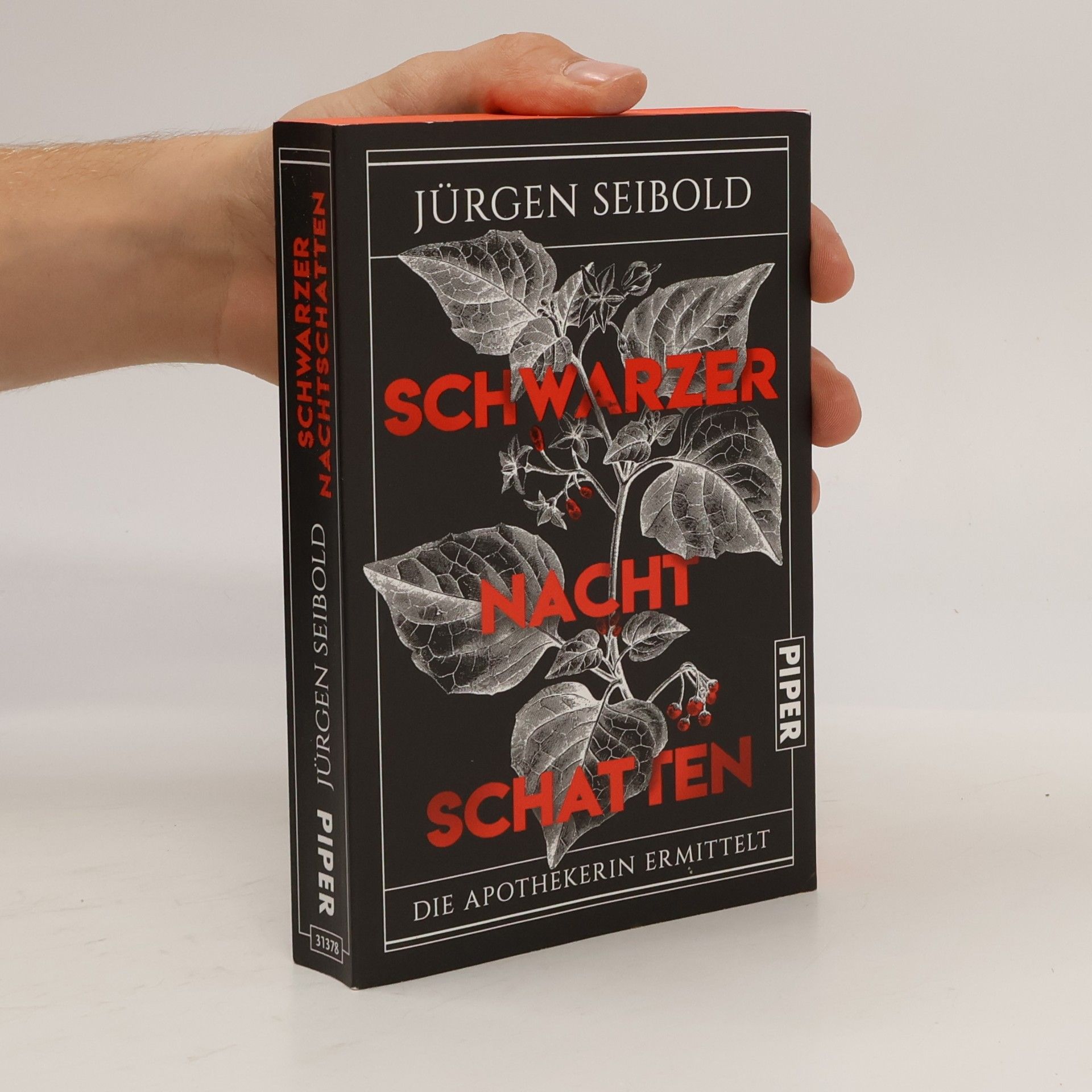 Jürgen Seibold Schwarzer Nachtschatten