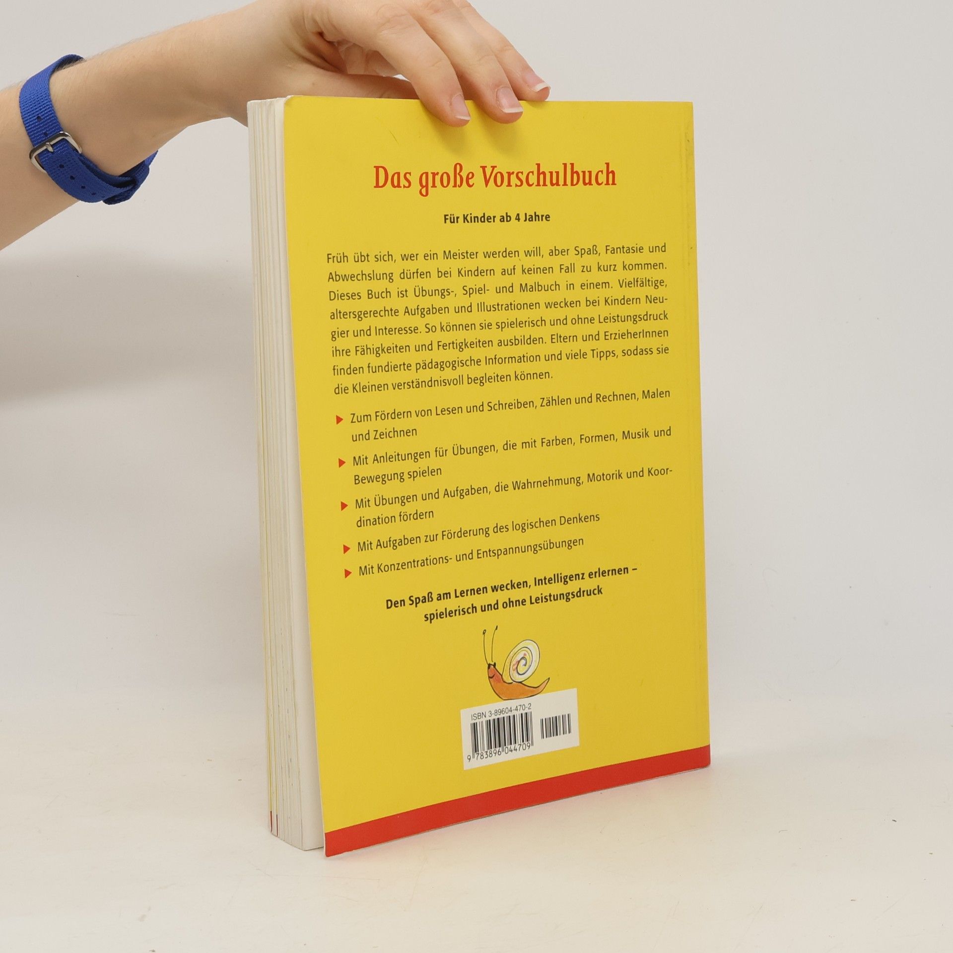 Das große Vorschulbuch