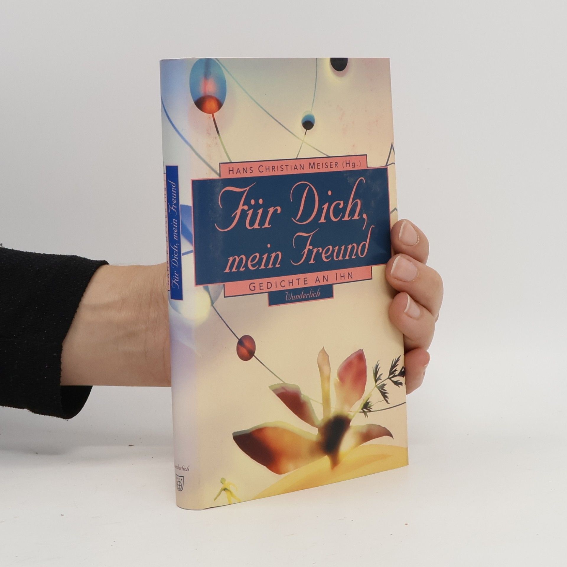 AA.VV. Für Dich, mein Freund. Gedichte an Ihn