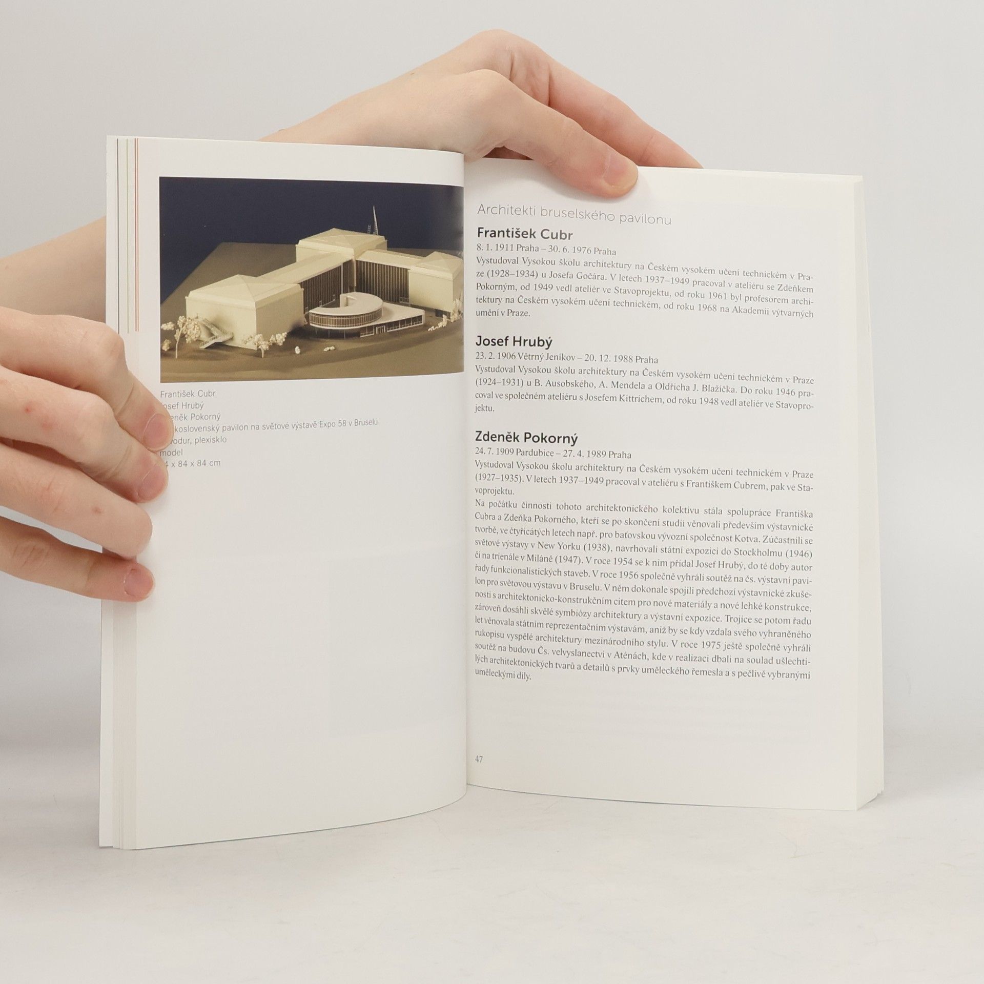 Various authors České moderní a současné umění 1890-2010 : katalog stálé expozice Sbírky moderního a současného umění a Sbírky umění 19. století Národní galerie v Praze. 2. díl