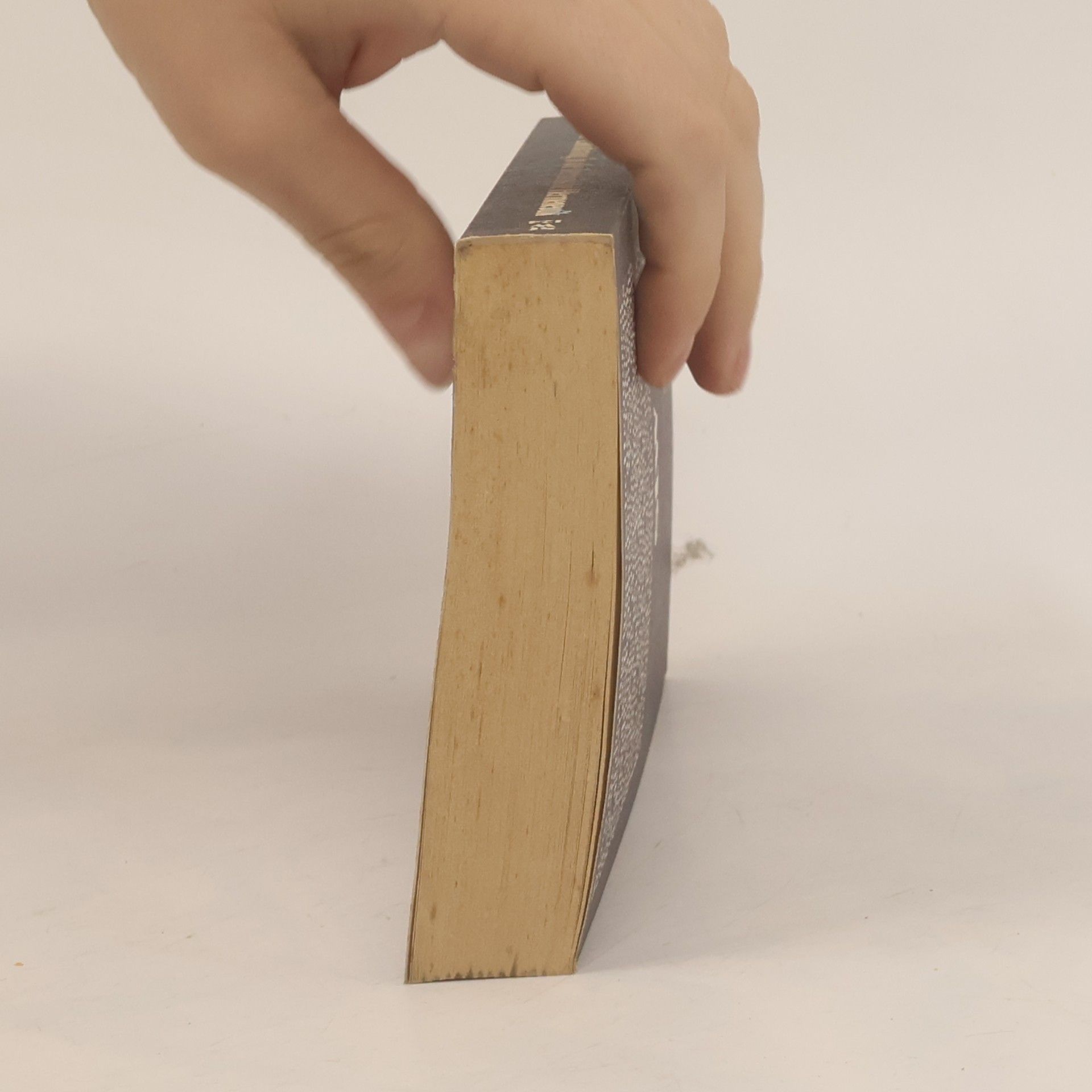 Peter Szondi Einführung in die literarische Hermeneutik