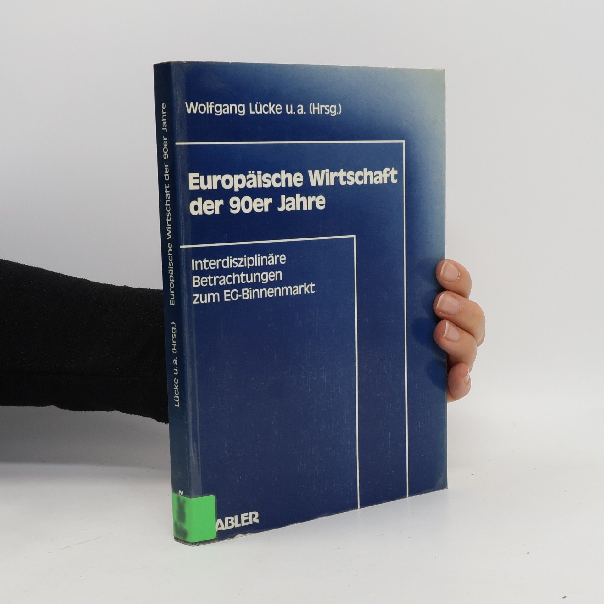 Auteurscollectief Europäische Wirtschaft der 90er Jahre