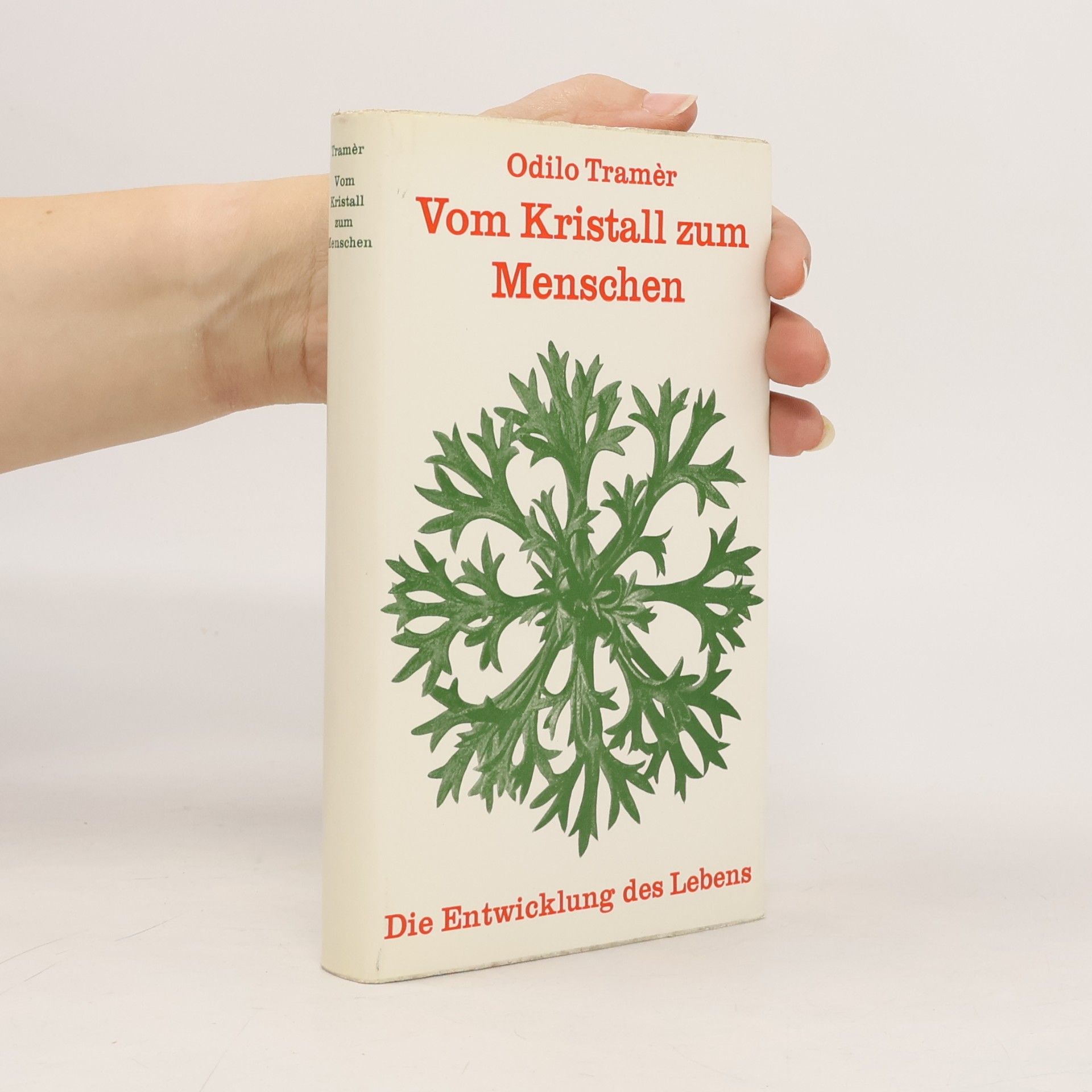 Vom Kristall zum Menschen
