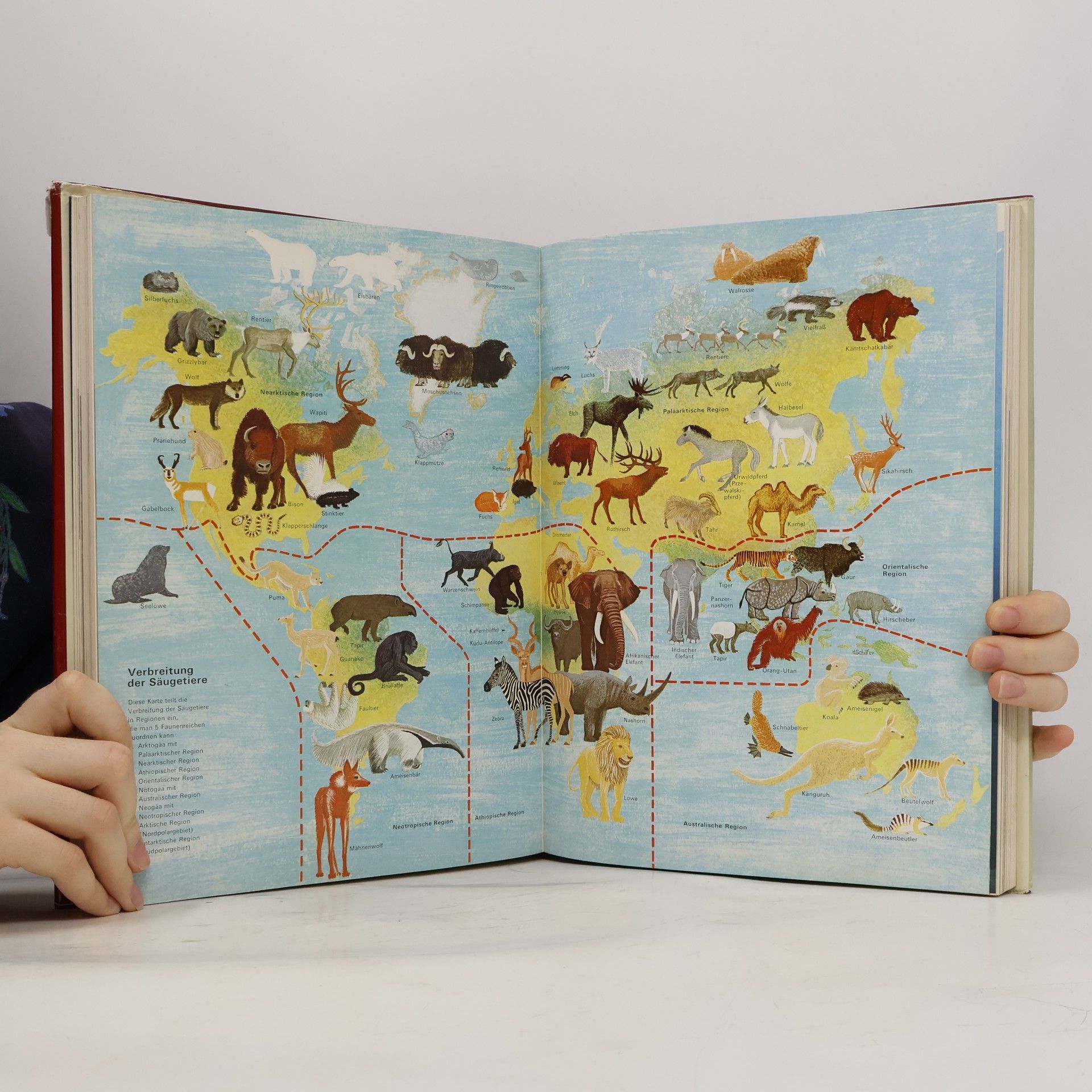 Gudrun Meise Die Welt der Tiere