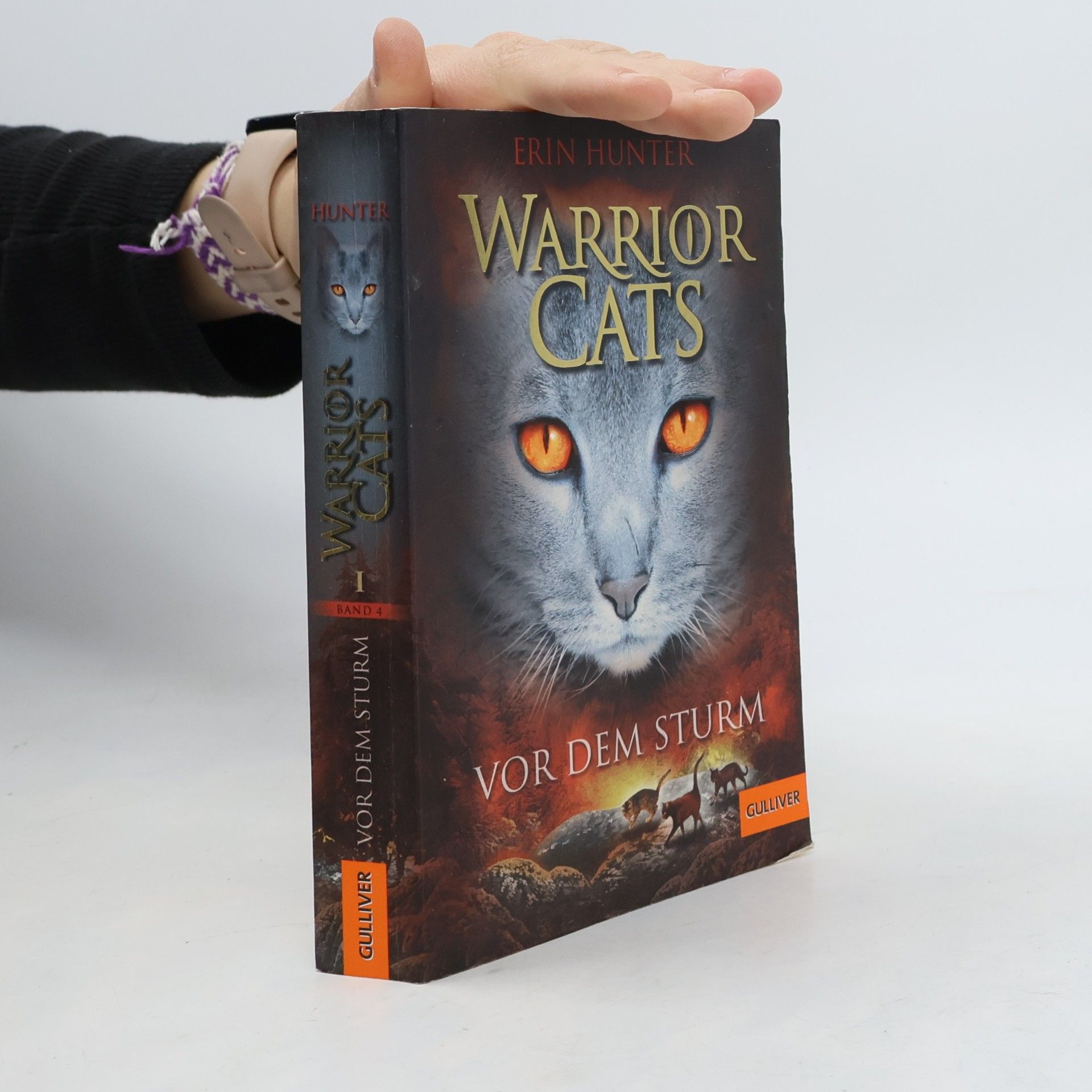 Warrior Cats. Vor dem Sturm