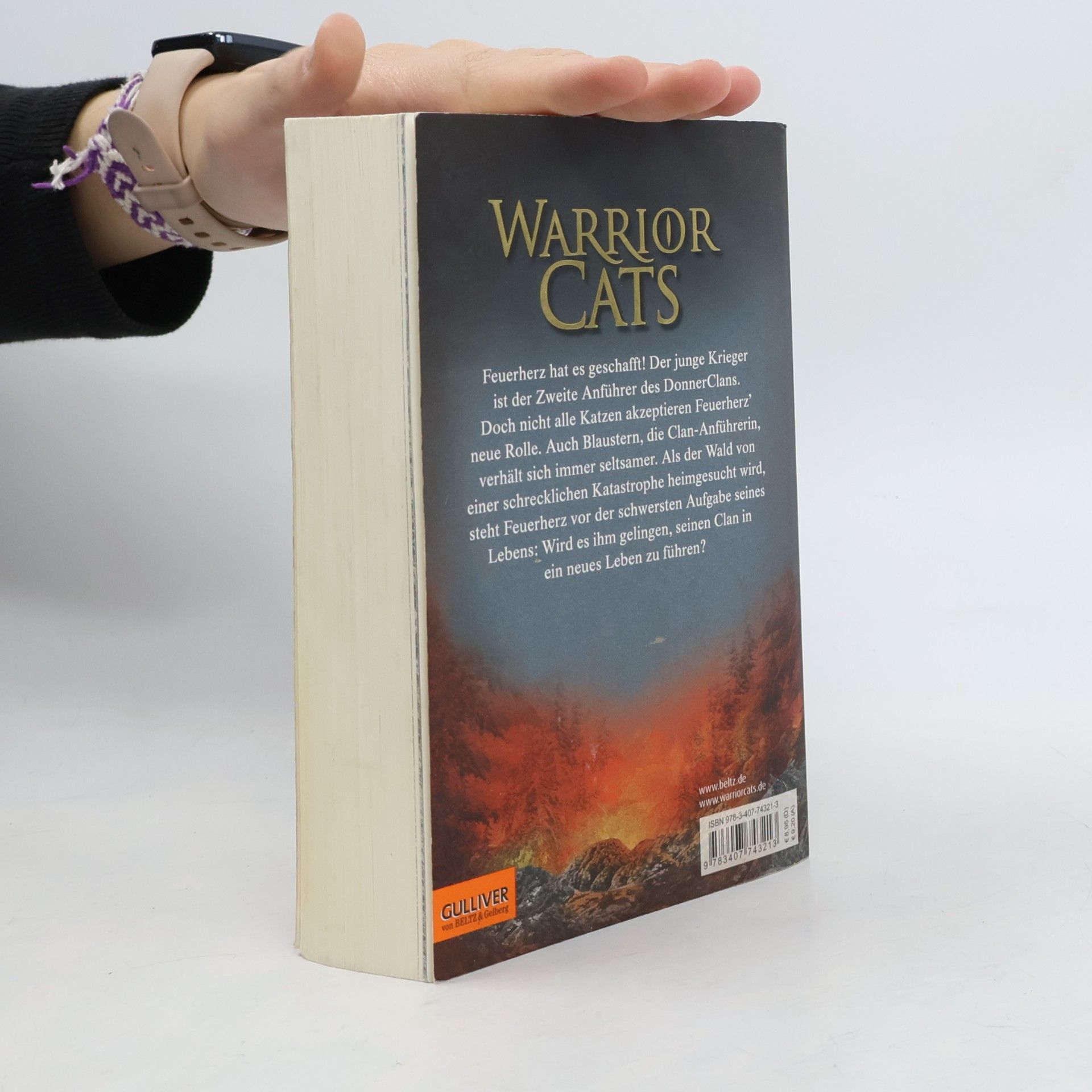 Erin Hunter Warrior Cats. Vor dem Sturm
