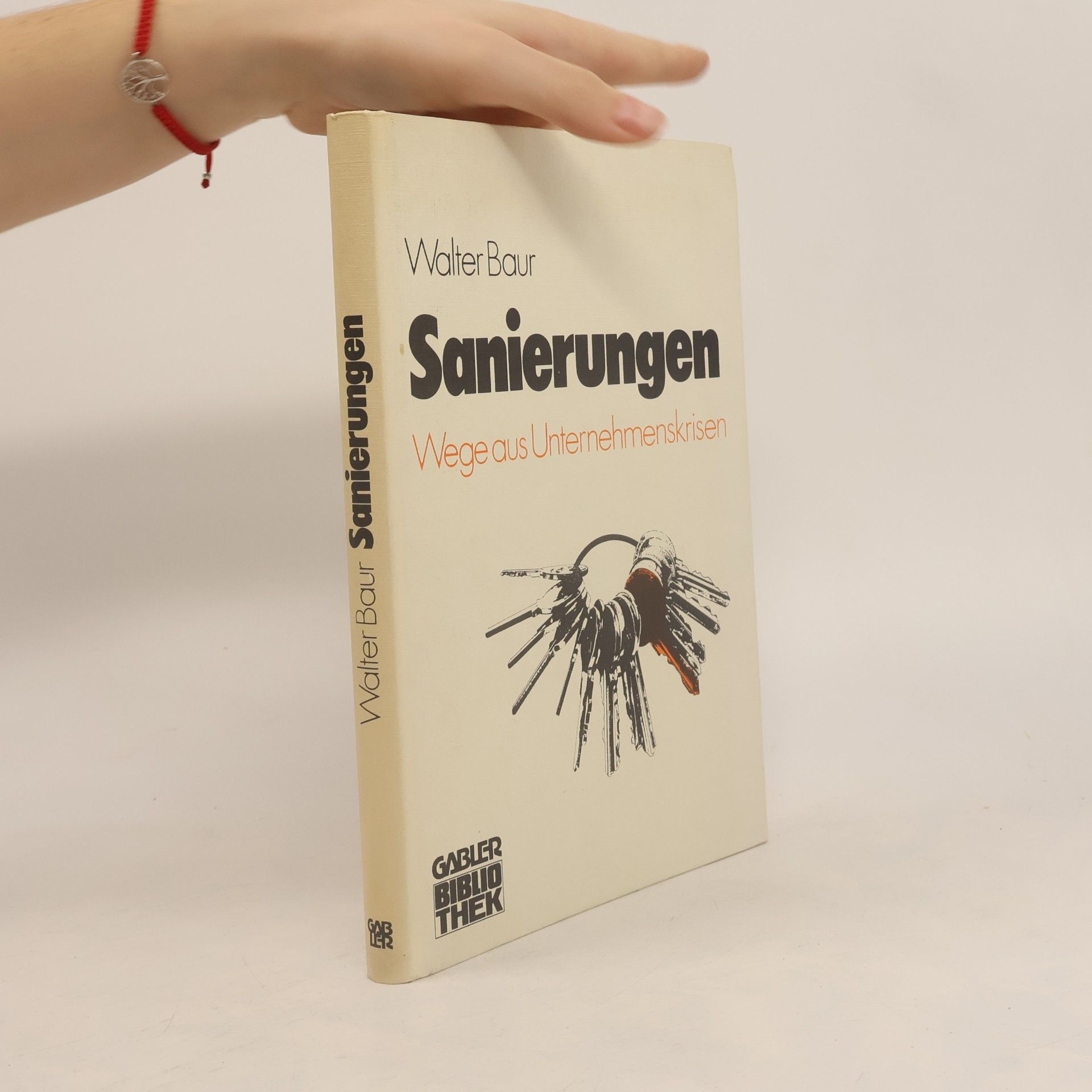 Walter Baur Sanierungen