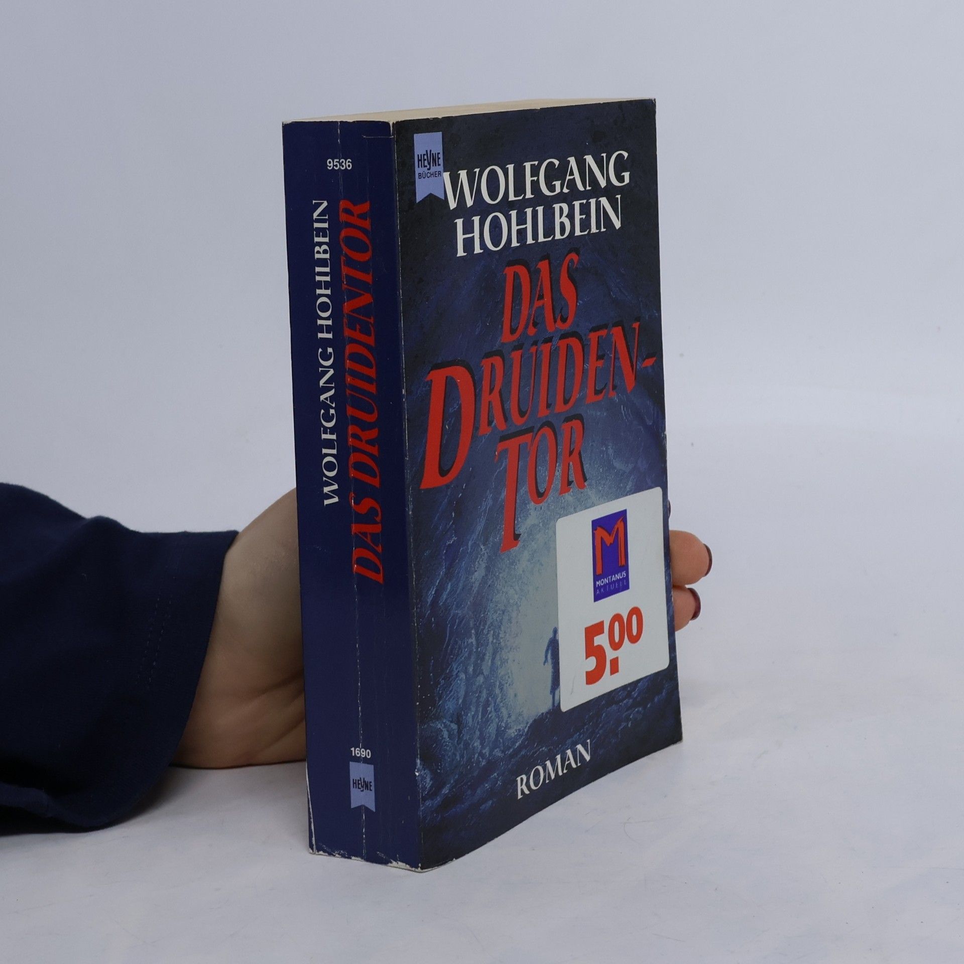 Wolfgang Hohlbein Das Druidentor