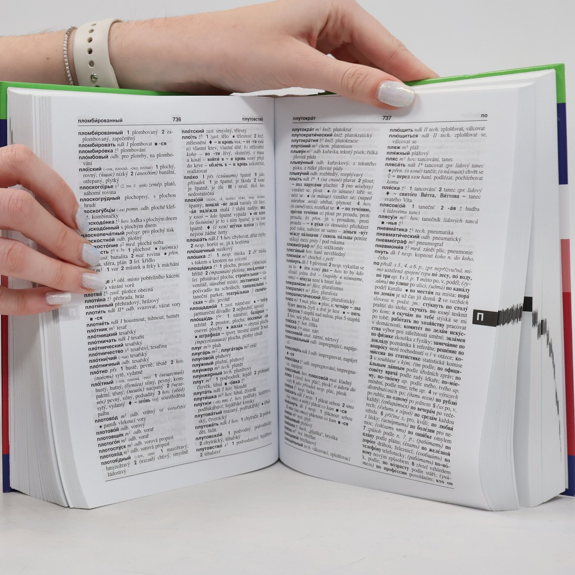 Collectif d'auteurs Rusko-český slovník