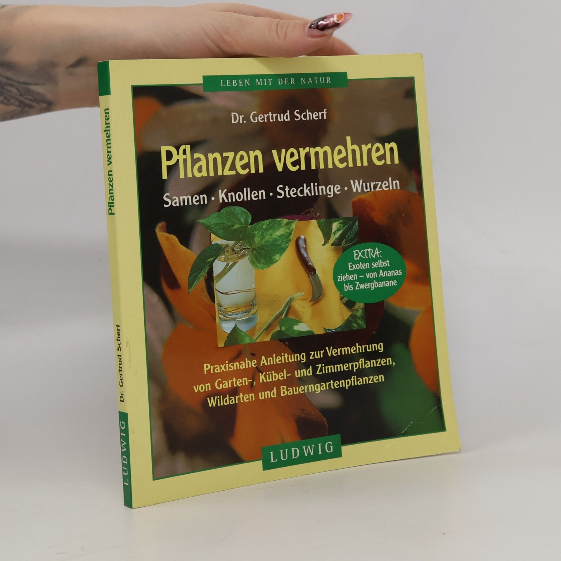 Pflanzen vermehren