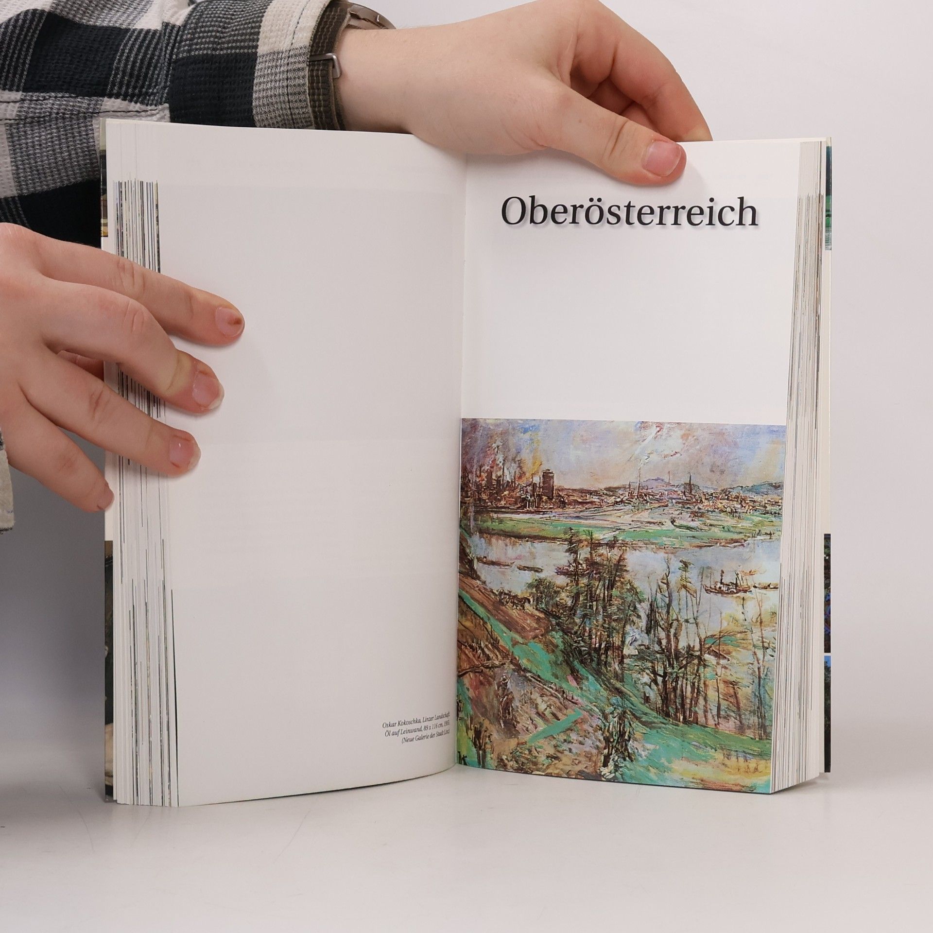 Various authors Museumsführer Österreich