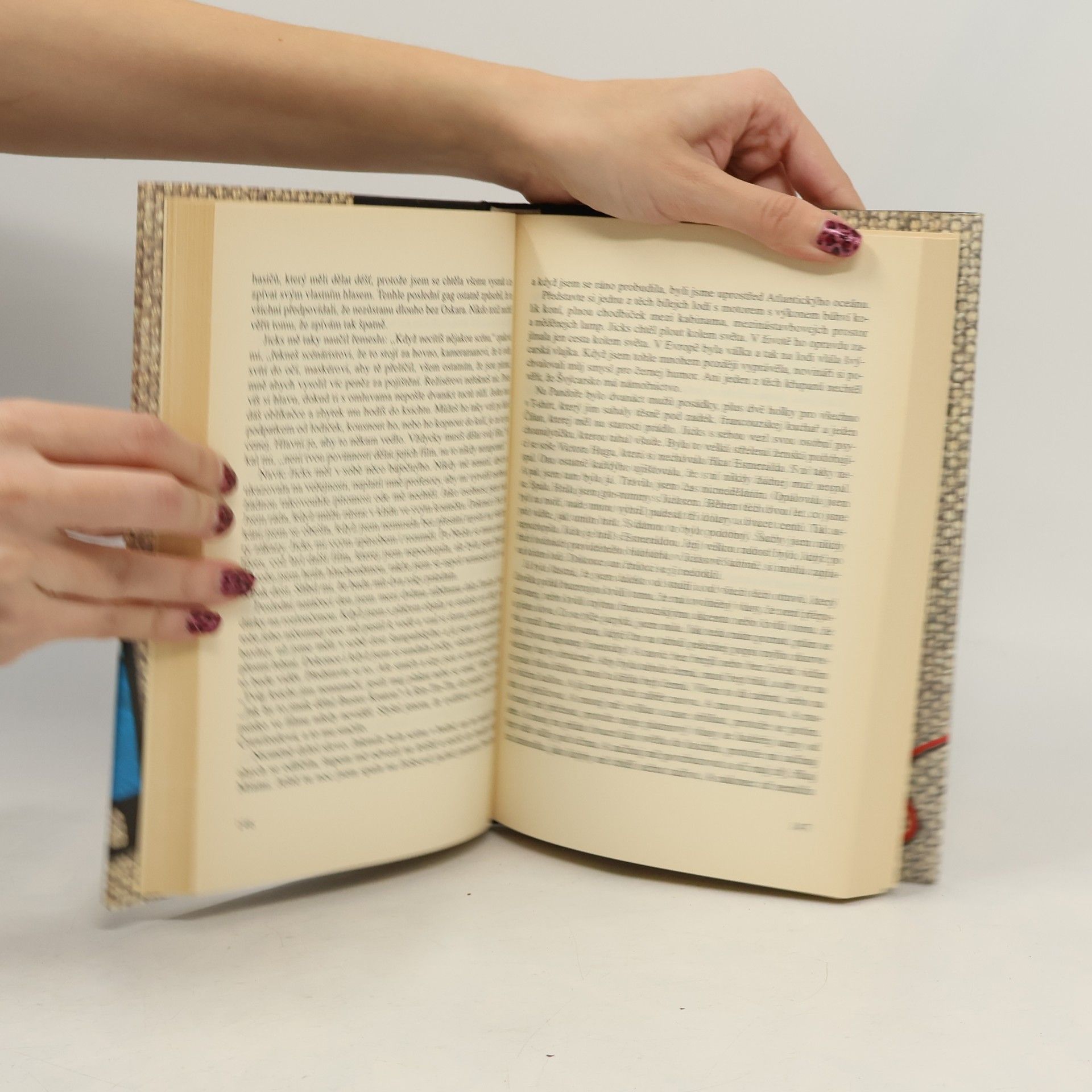 Sébastien Japrisot Vášeň žen