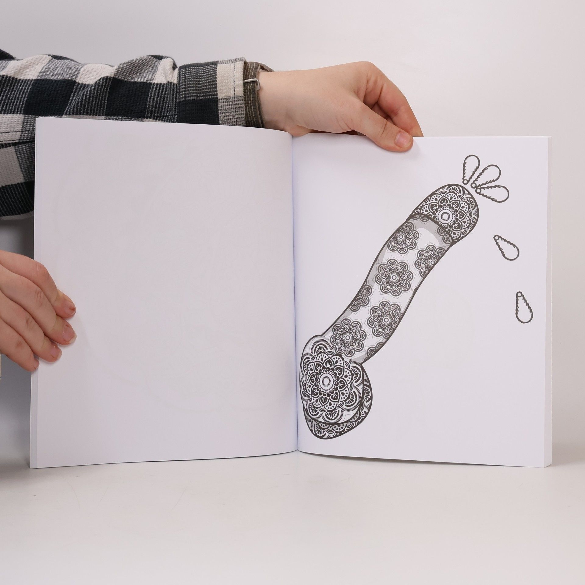 Tomáš Horych DickObraz : omalovánky pro dospělé = the adult coloring book full of dicks