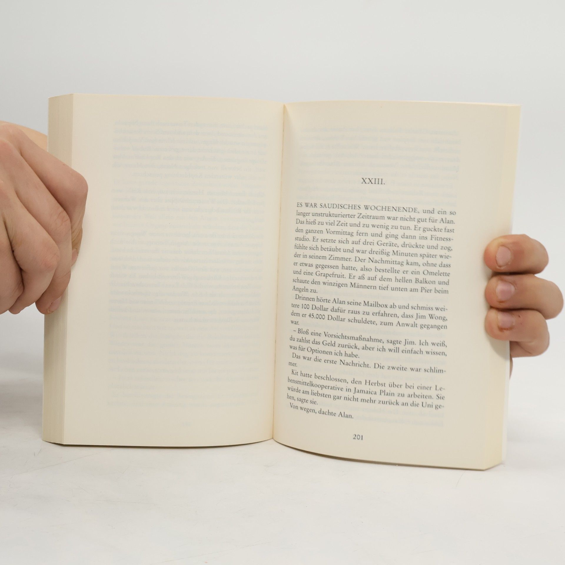 Dave Eggers Ein Hologramm für den König