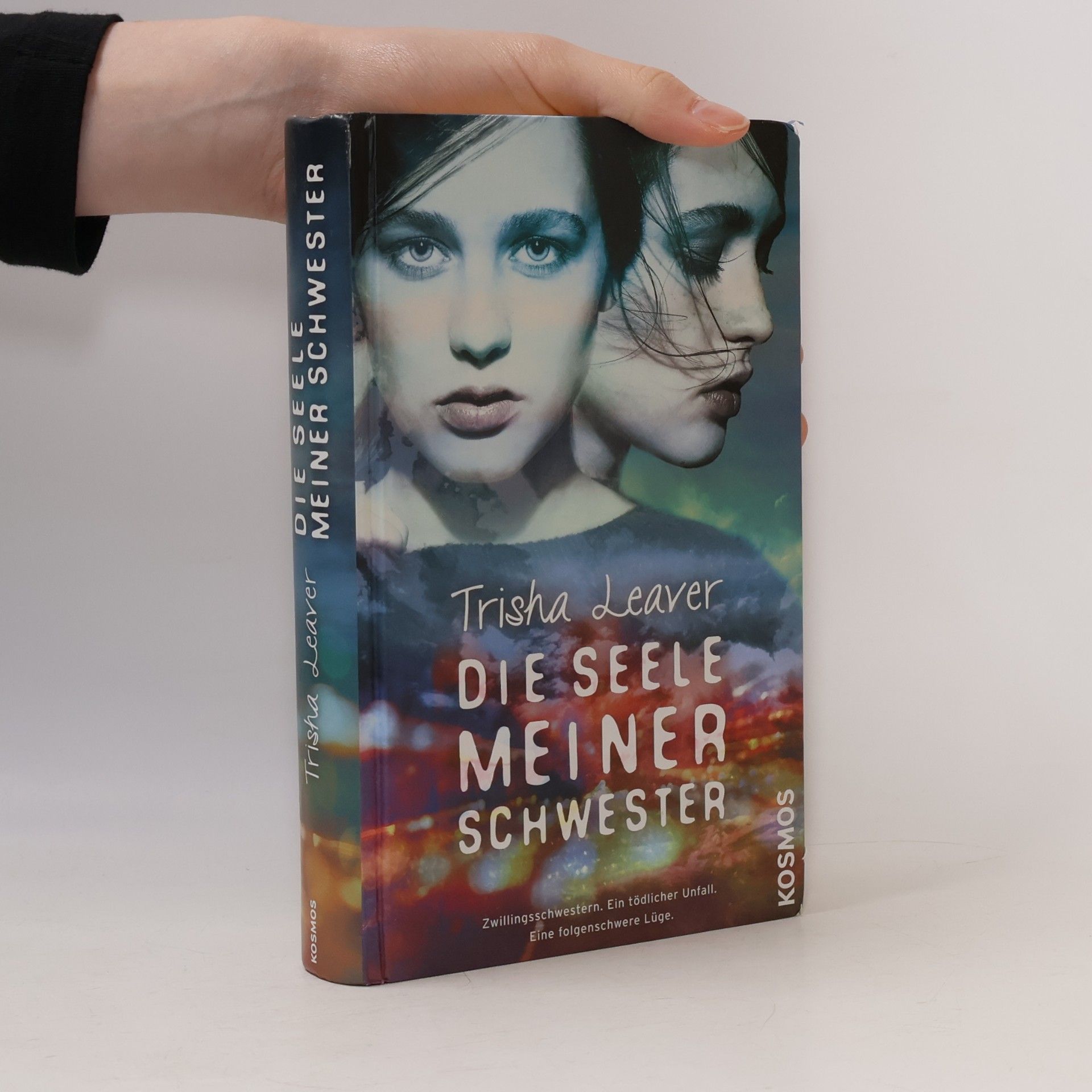 Die Seele meiner Schwester