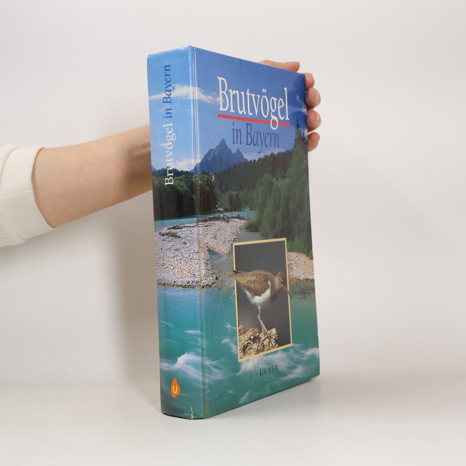 Brutvögel in Bayern