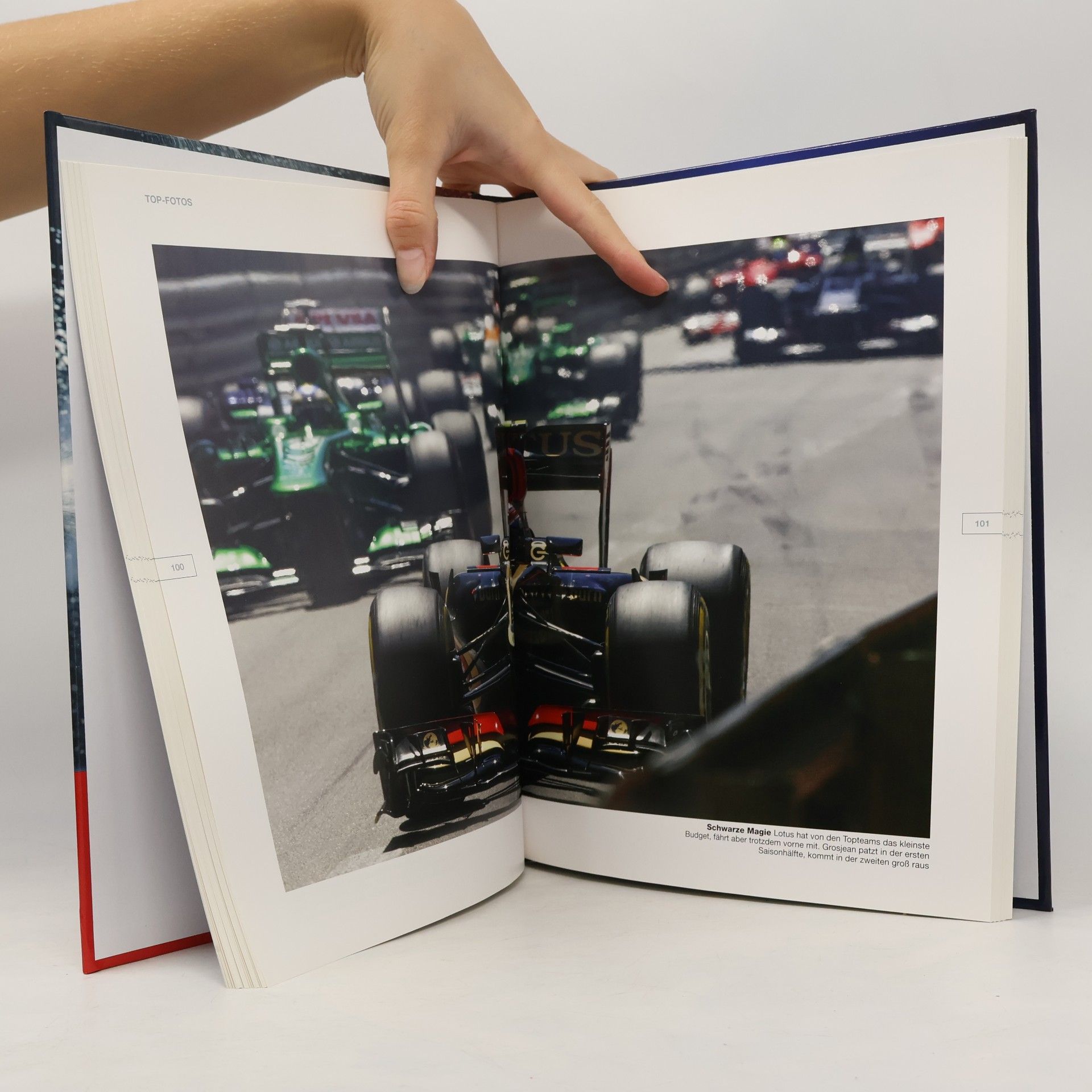 Michael D. F. Schmidt Formel 1 - Jahrbuch 2013