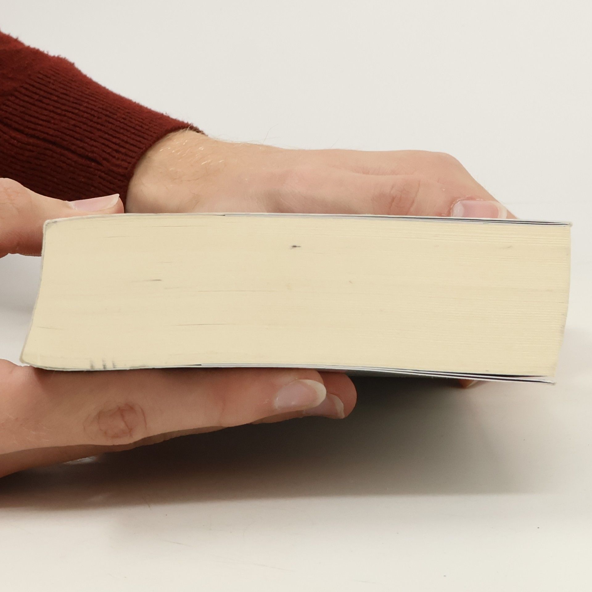 Astrid Ruppert Leuchtende Tage