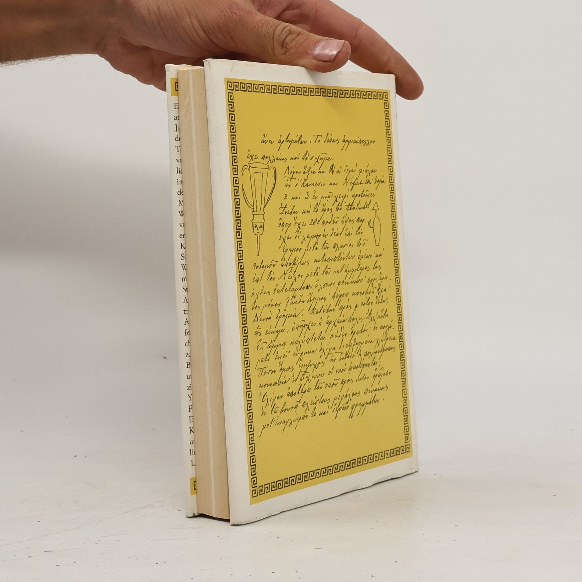 Heinrich Schliemann Abenteuer meines Lebens