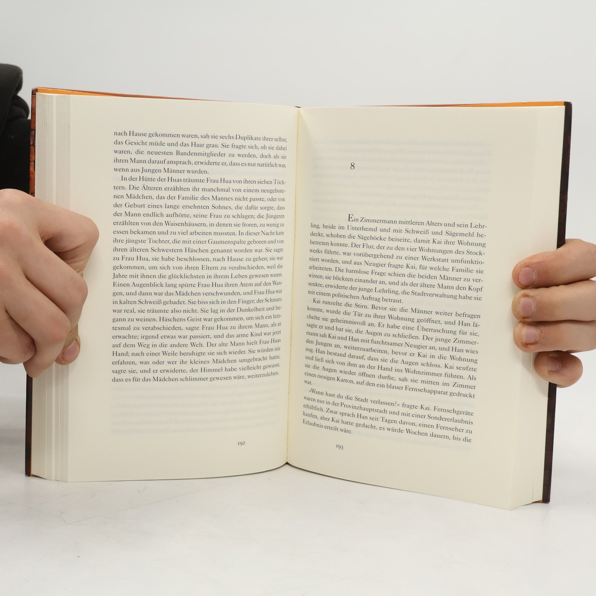 Yiyun Li Die Sterblichen