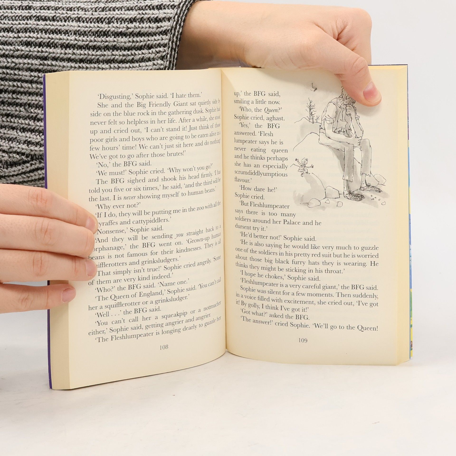 Roald Dahl The BFG
