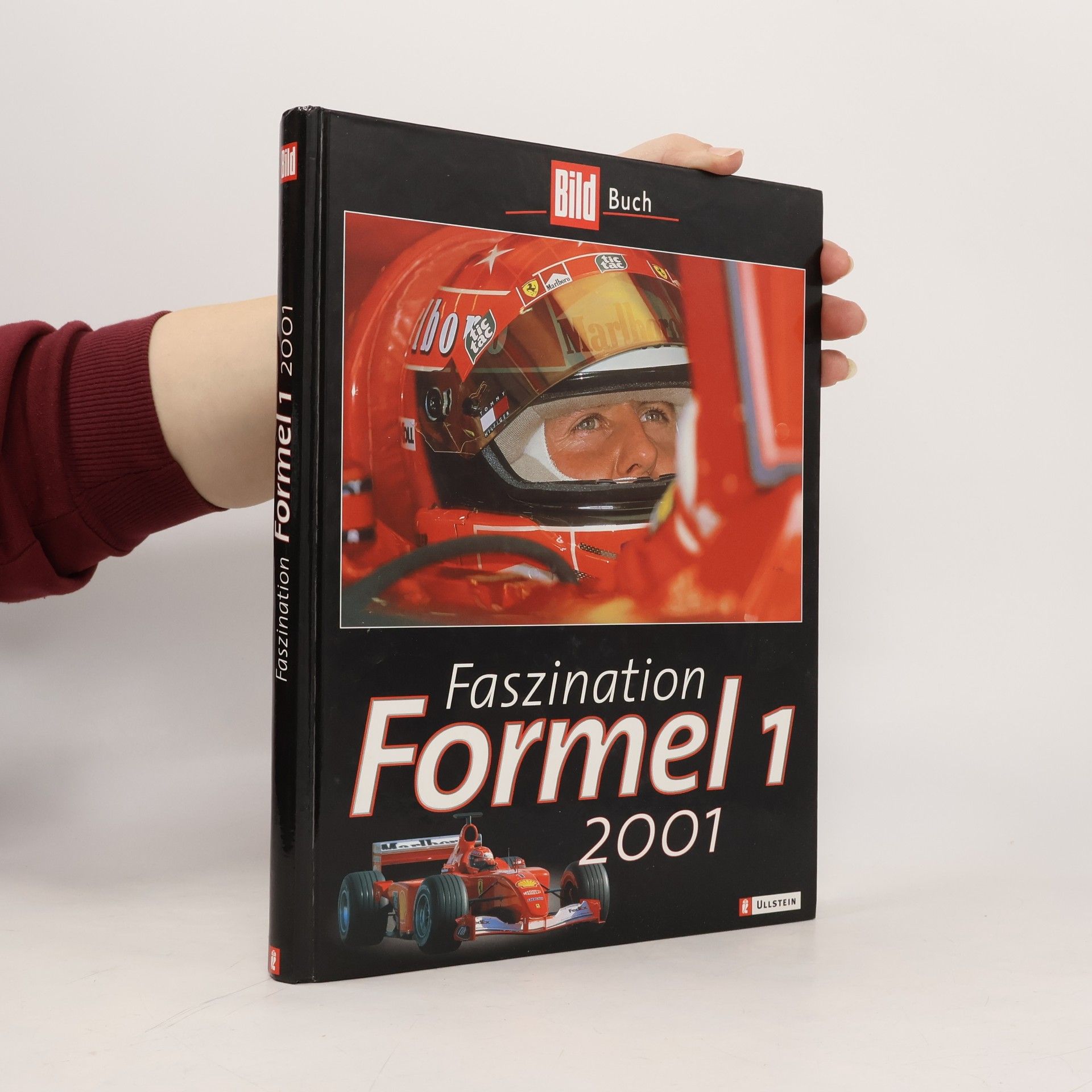 Faszination Formel 1 2001