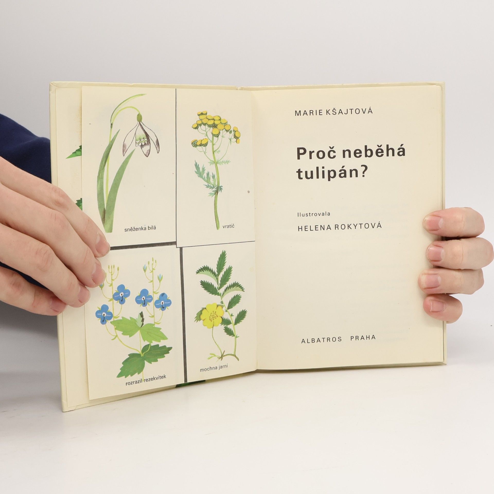 Marie Kšajtová Proč neběhá tulipán?