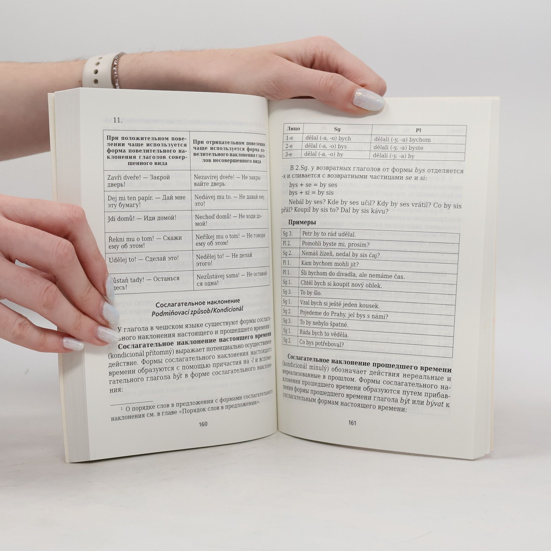 V.S Knyaznyakov Чешская грамматика в таблицах и схемах (Česká gramatika v tabulkách a schématech)