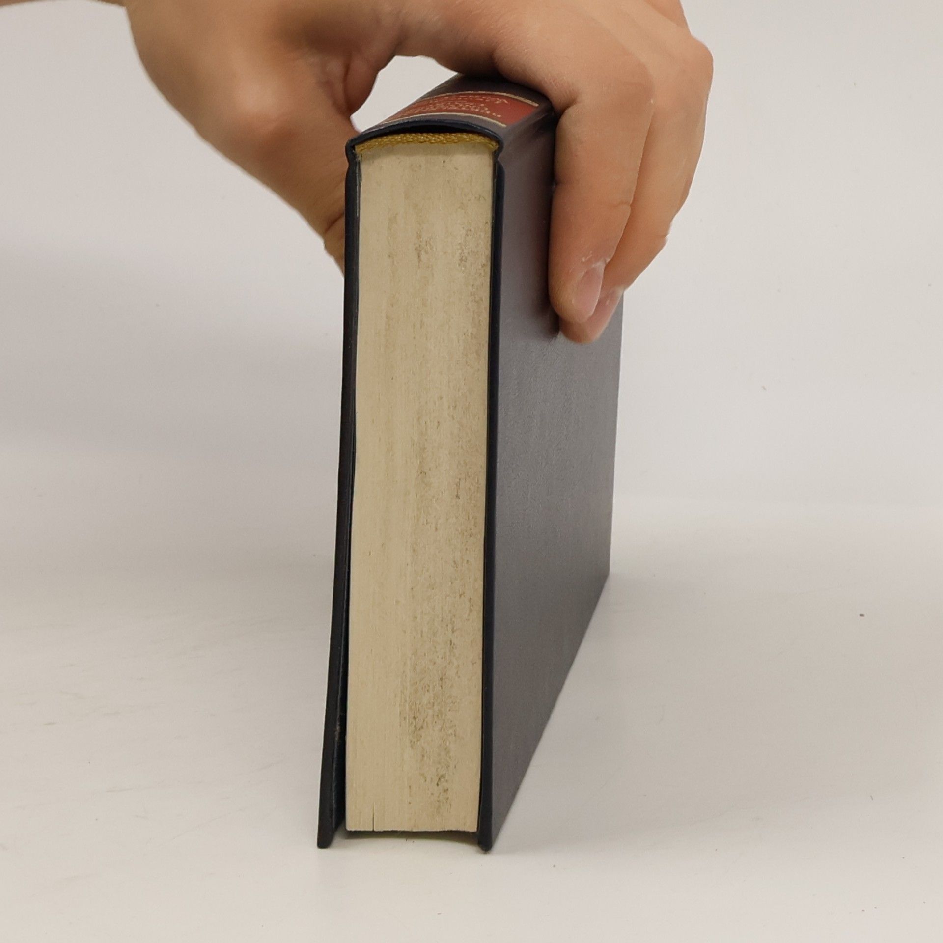 Autorenkollektiv Bertelsmann universal Lexikon. Deutsches Wörterbuch: L-Z