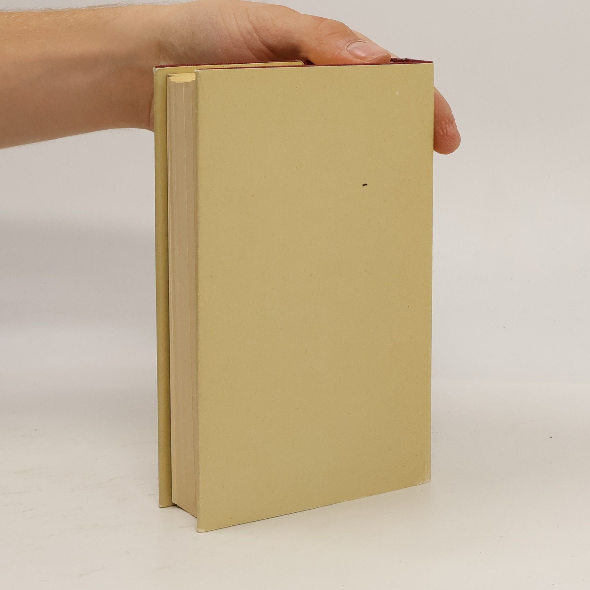 Guy de Maupassant Novellen IV