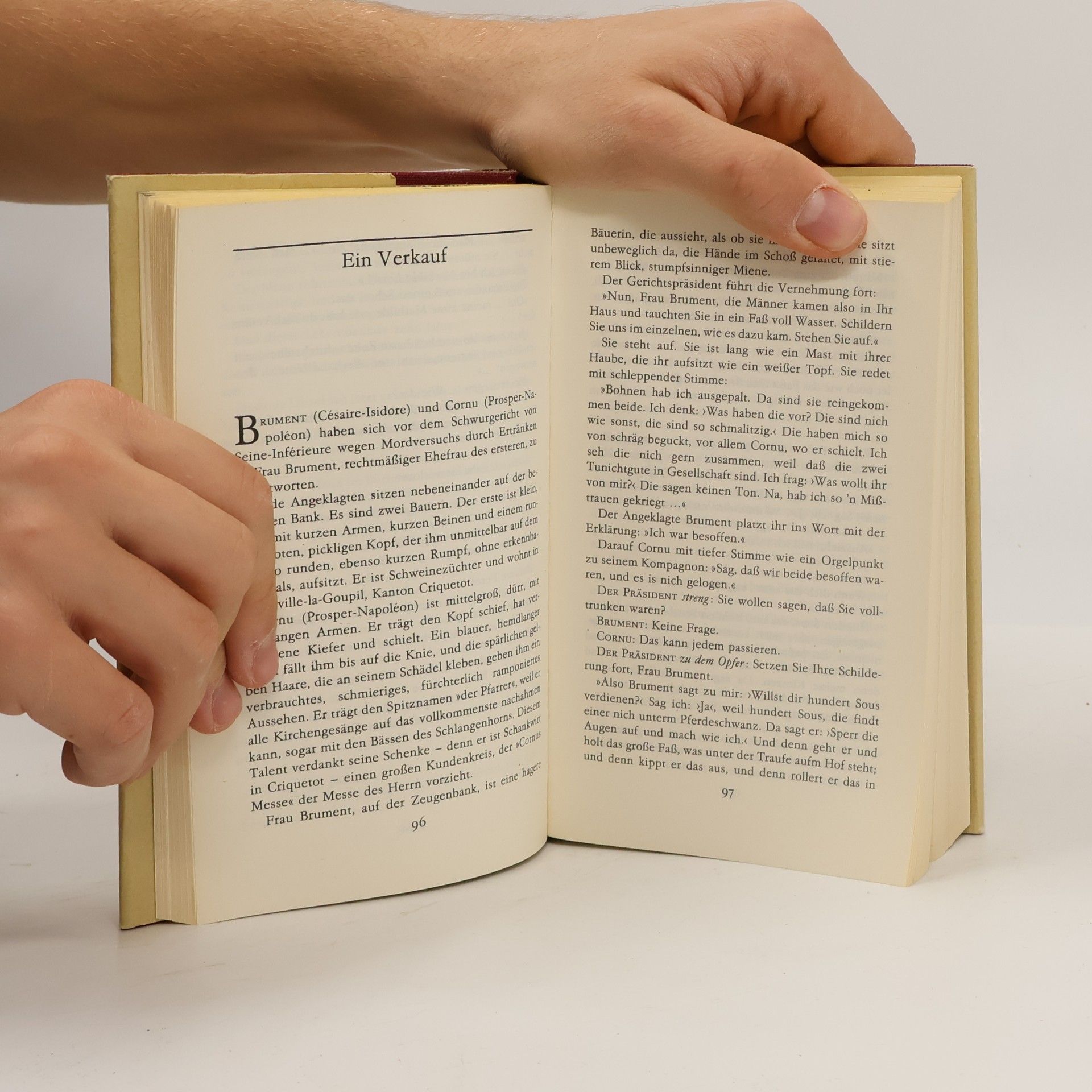 Guy de Maupassant Novellen IV