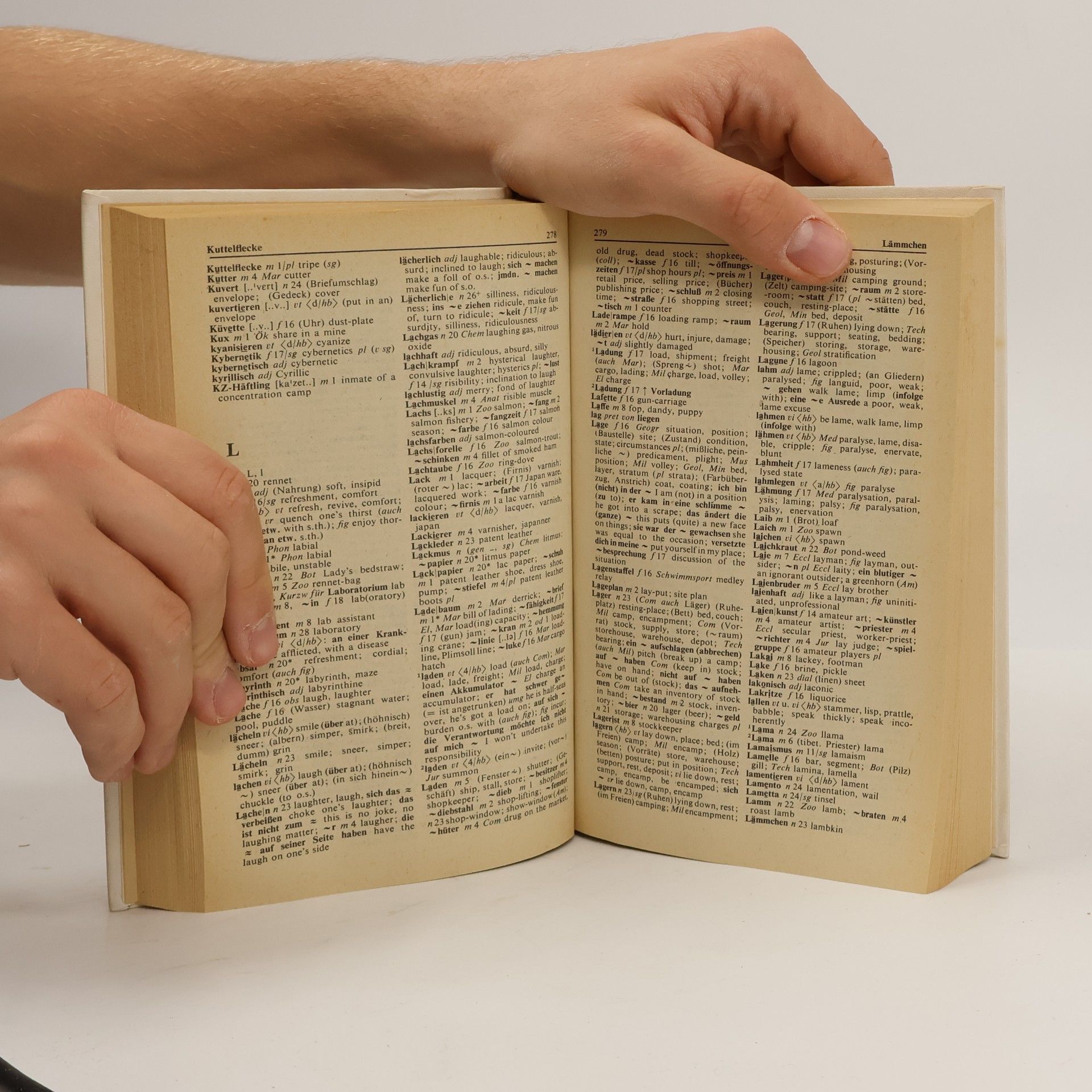 Collectif d'auteurs Wörterbuch. Deutsch-Englisch
