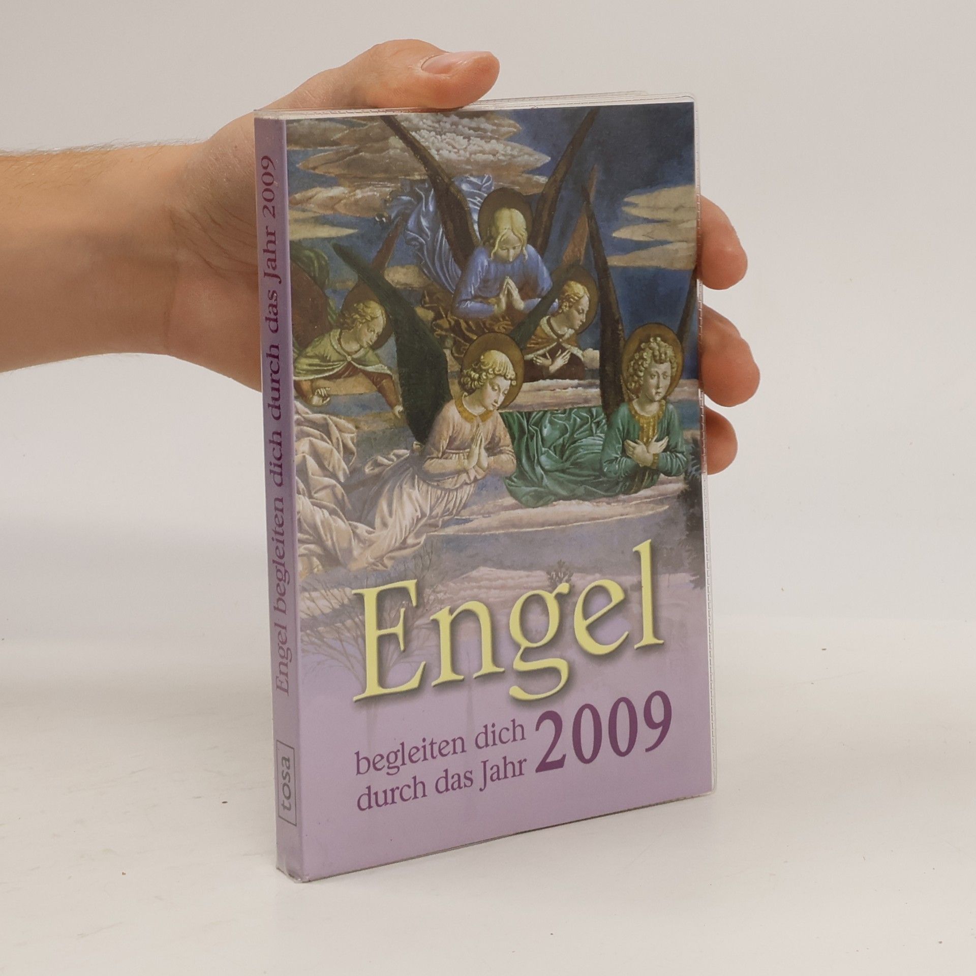 Engel begleiten dich durch das Jahr 2009