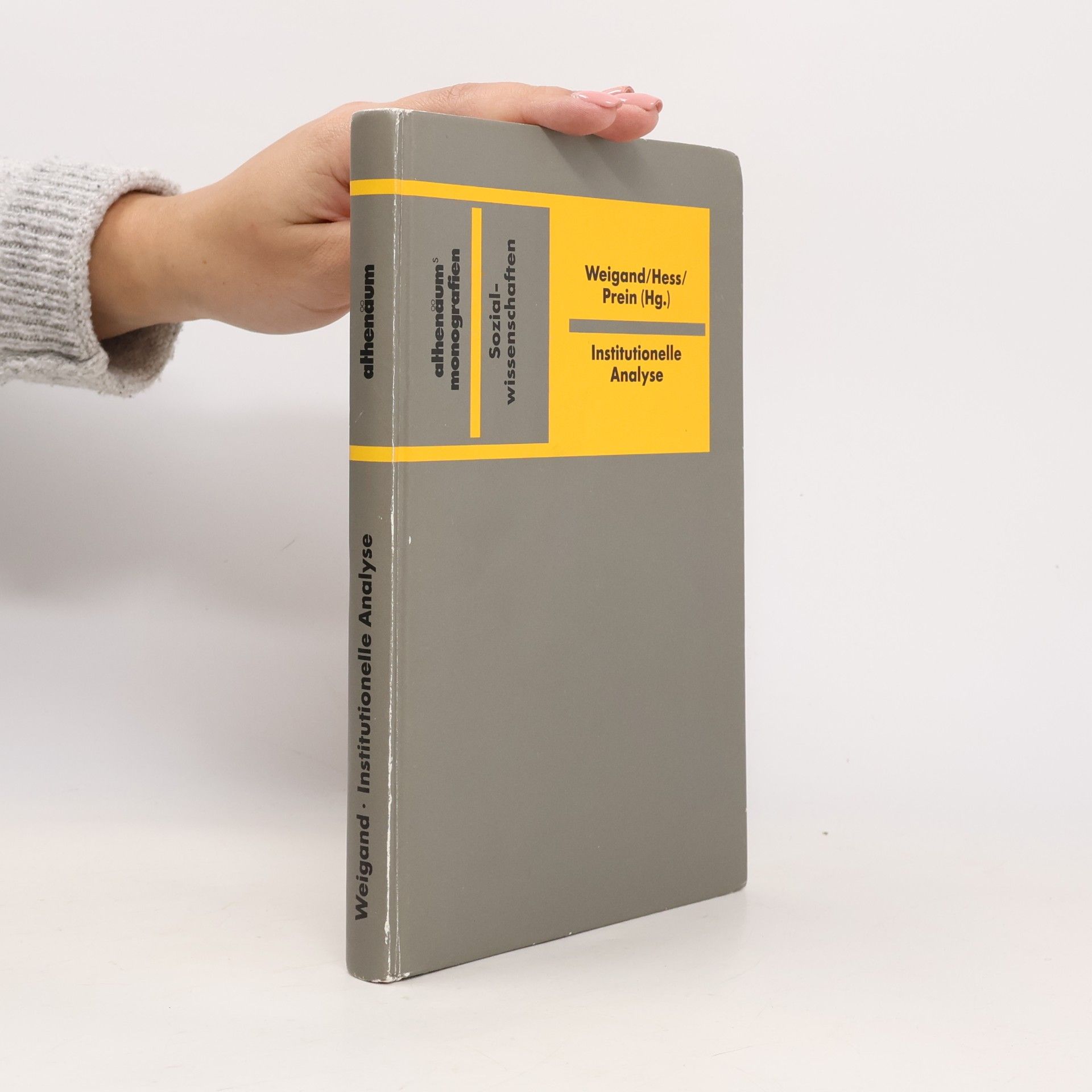 Athenäum Monografien: Institutionelle Analyse