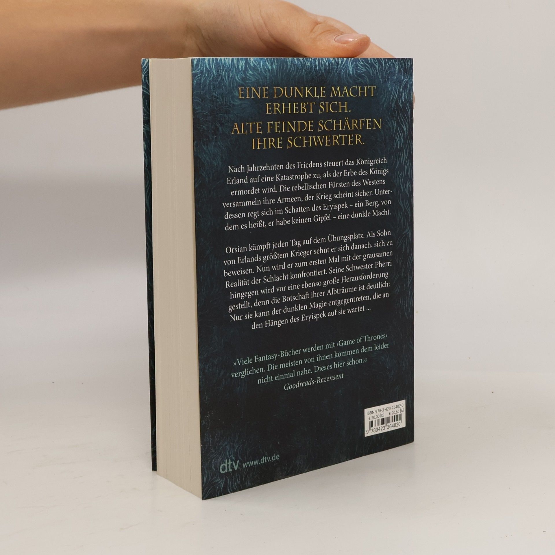 Michaela Link Die Erland-Saga: The Fury of Kings