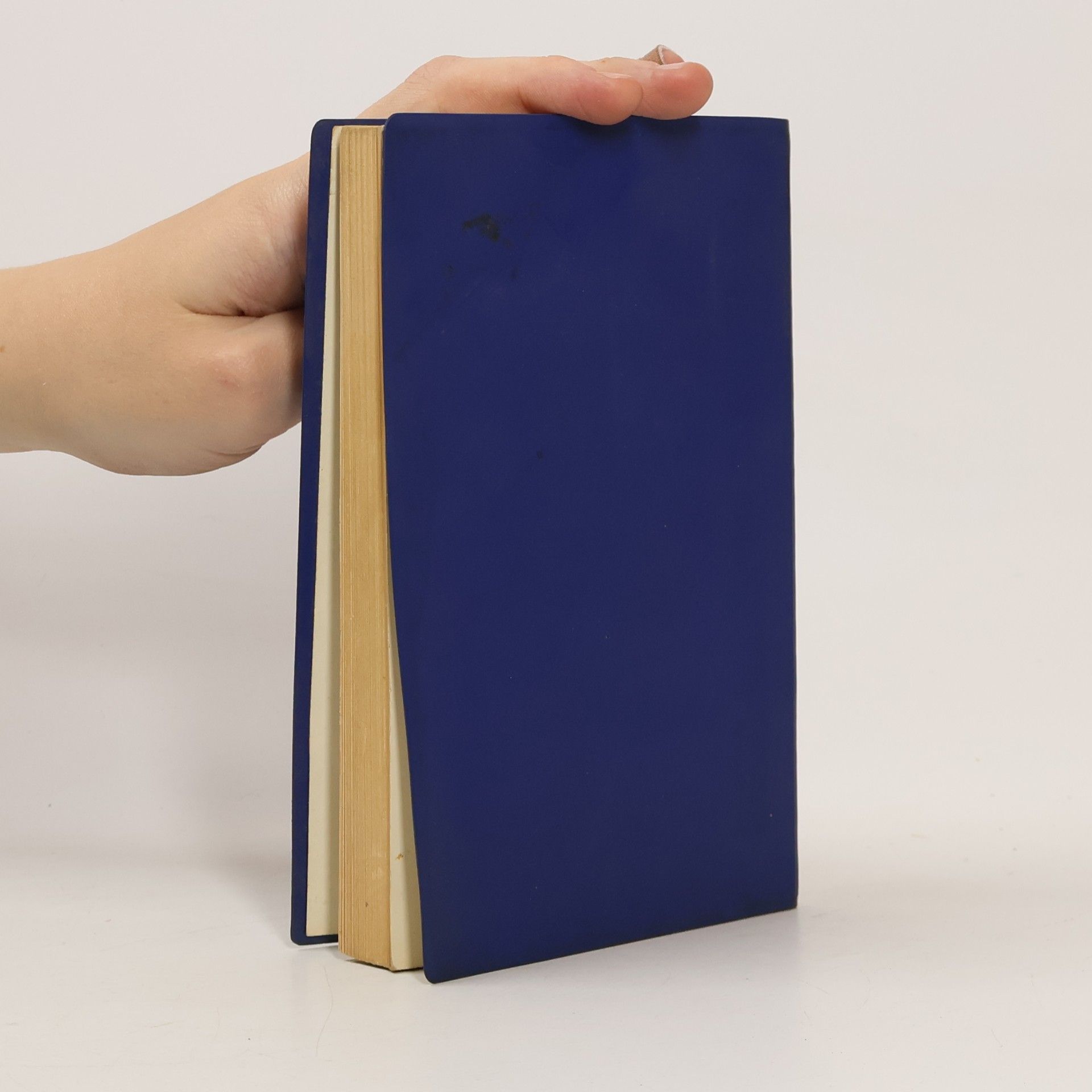 E. Goerlitz Taschenhandbuch zur Geschichte
