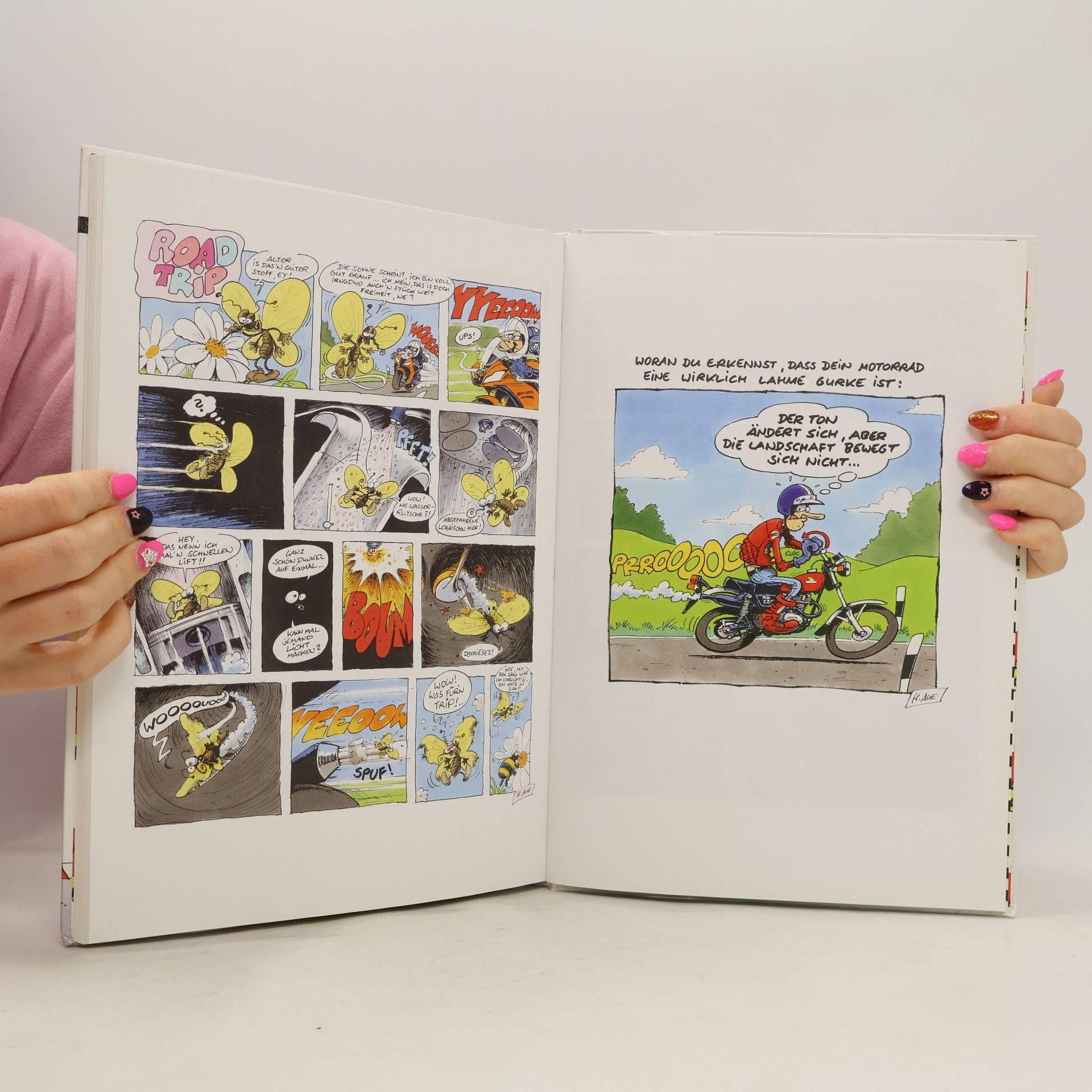Holger Aue Motomania - Sammelband