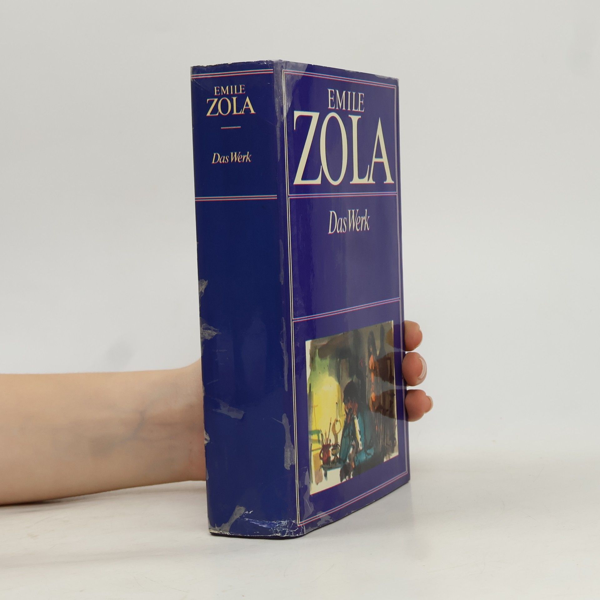 Émile Zola Das Werk